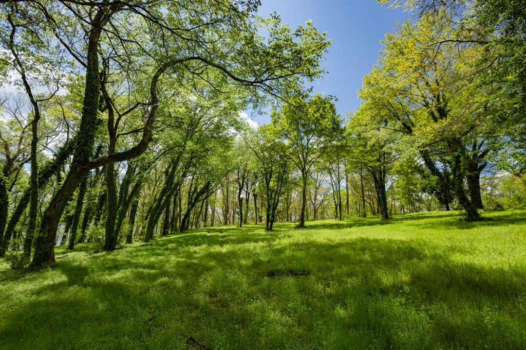 1275 Riverbank Ridge