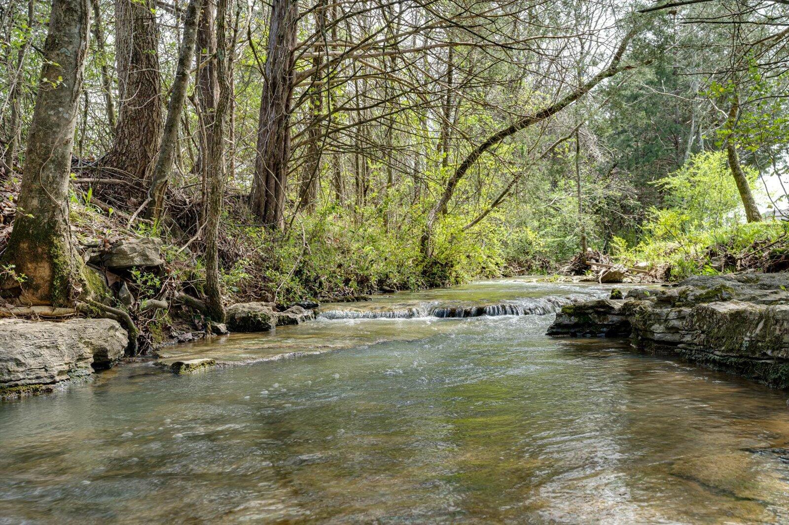 8433 Cherrybark Lane