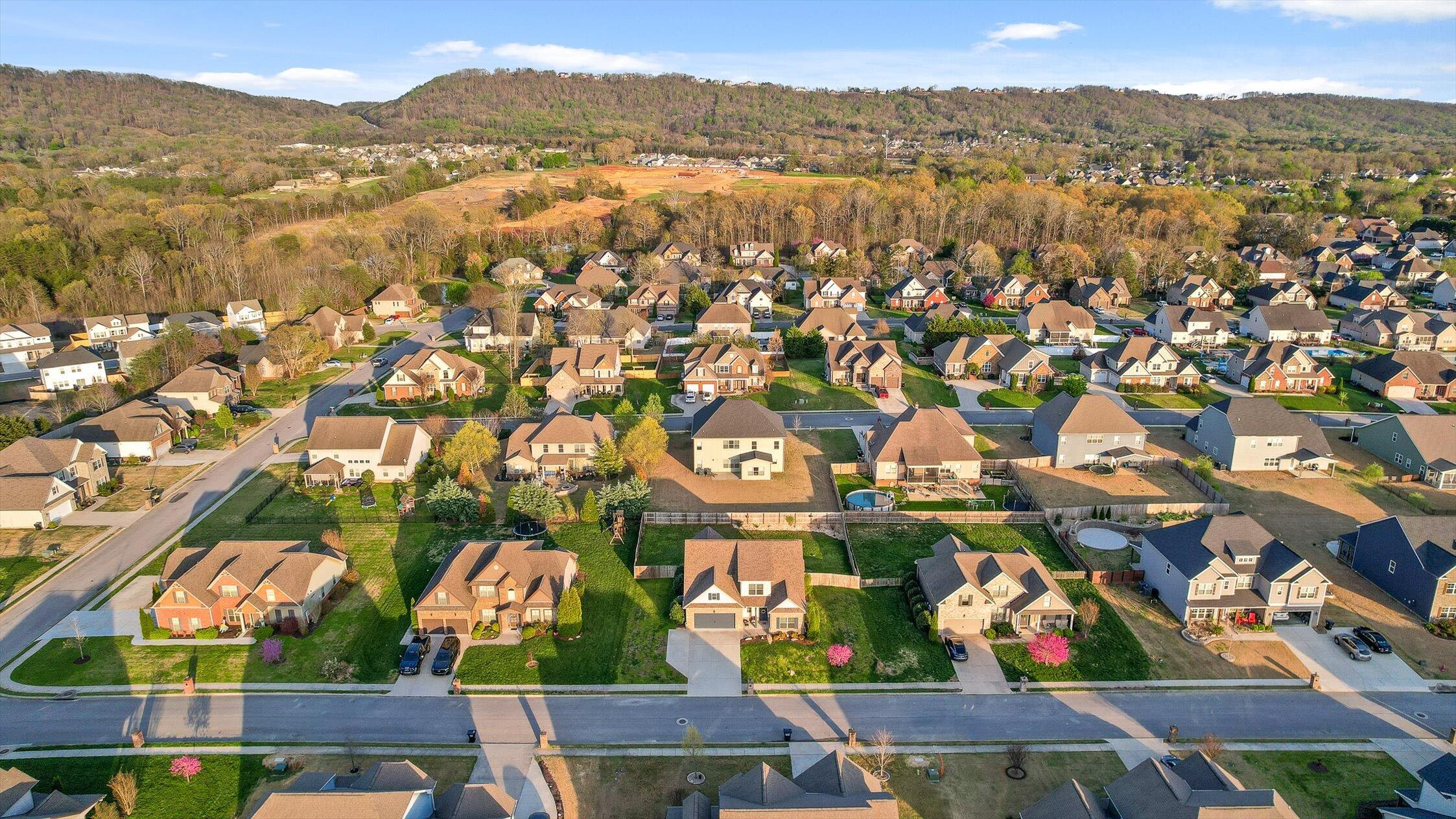 7482 Blazing Star Court