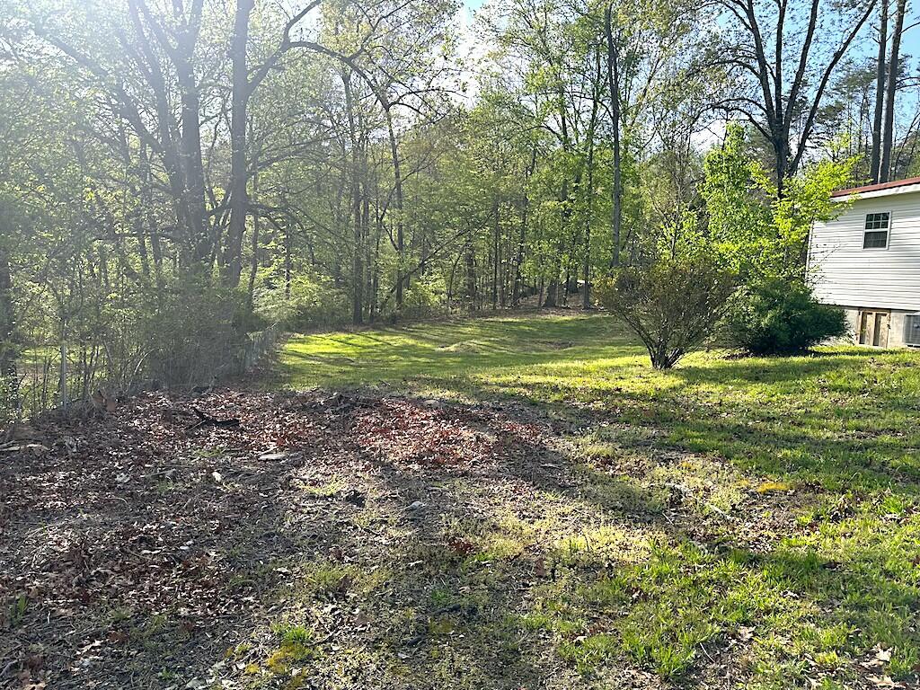 206 Glenn Street, LaFayette