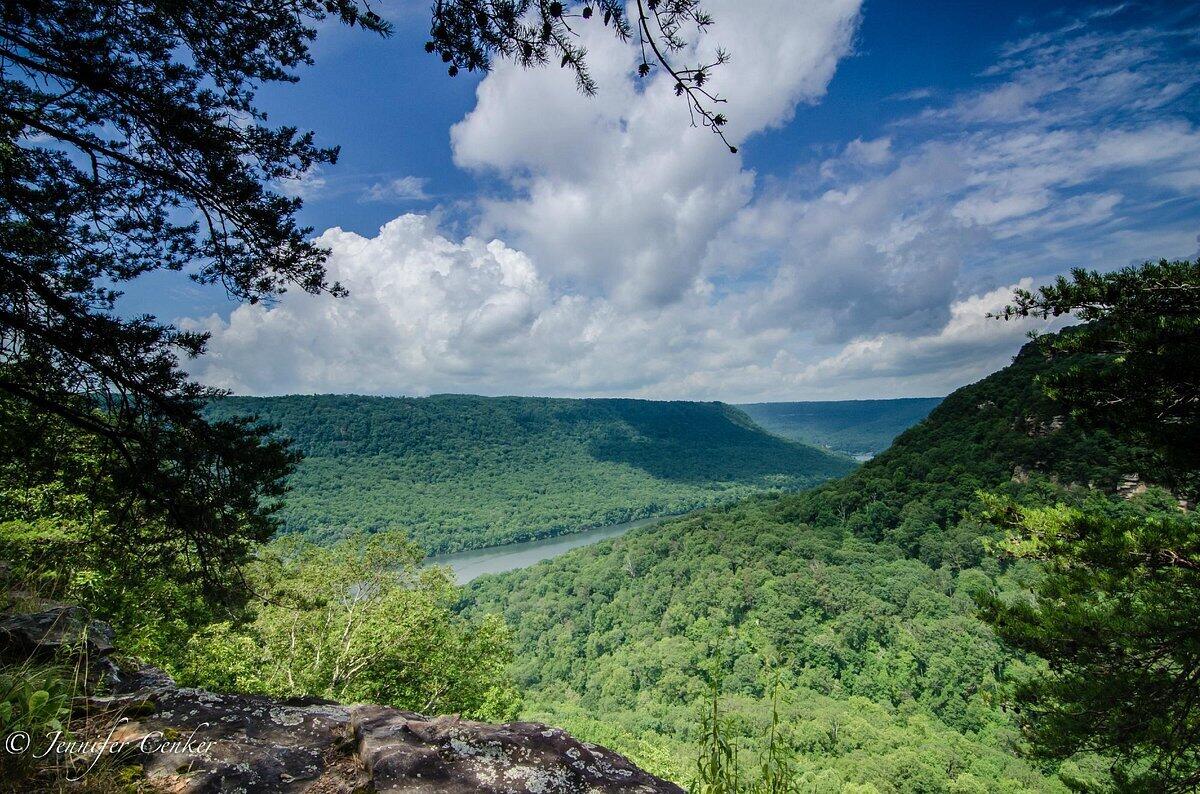 47 Mountain Cove Road