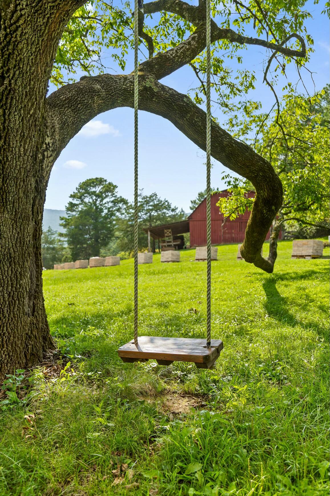 0 Cloudland, #39