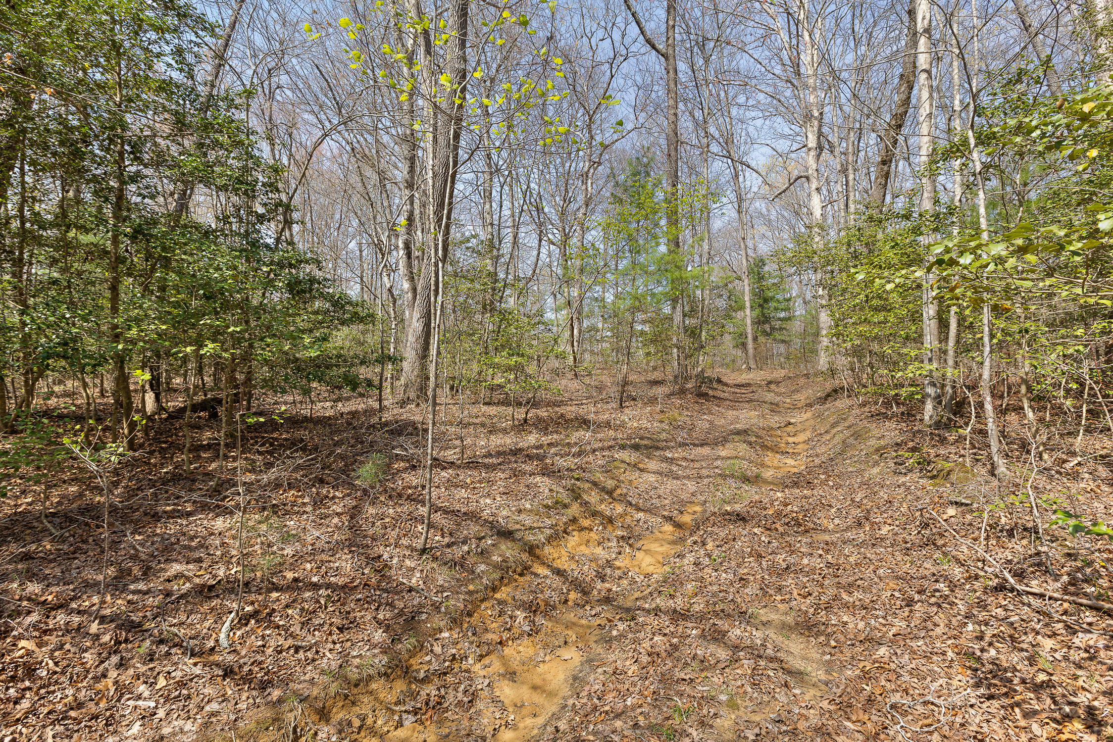 10 Acres Blaine Smith Road
