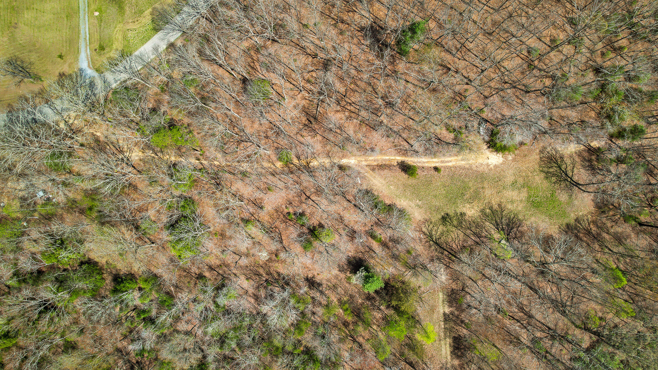 10 Acres Blaine Smith Road