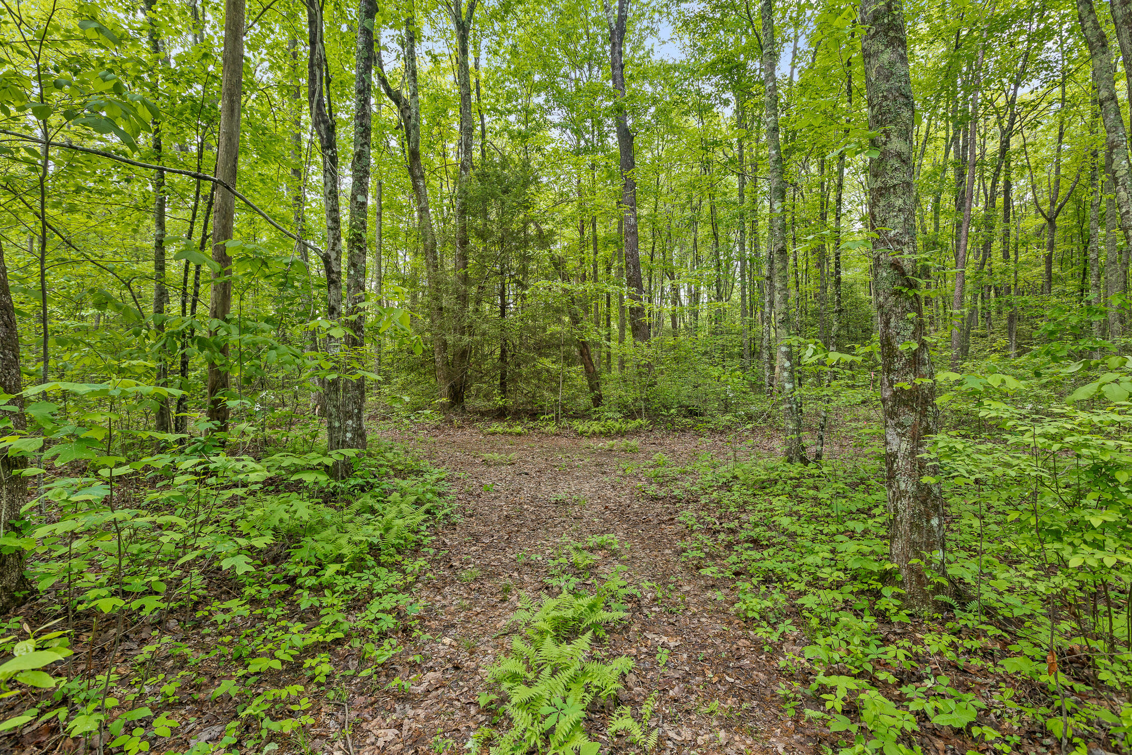 10 Acres Blaine Smith Road