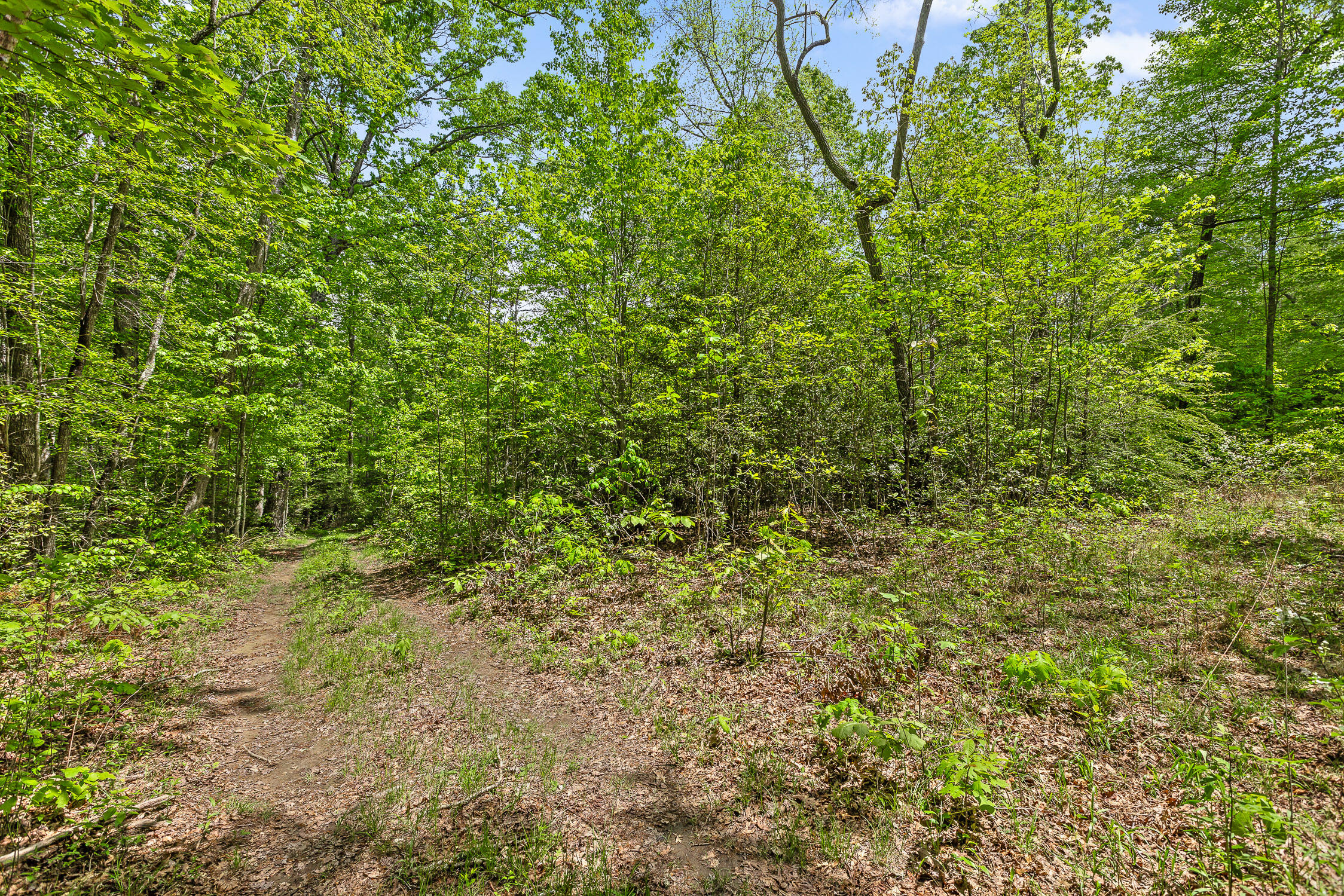 10 Acres Blaine Smith Road