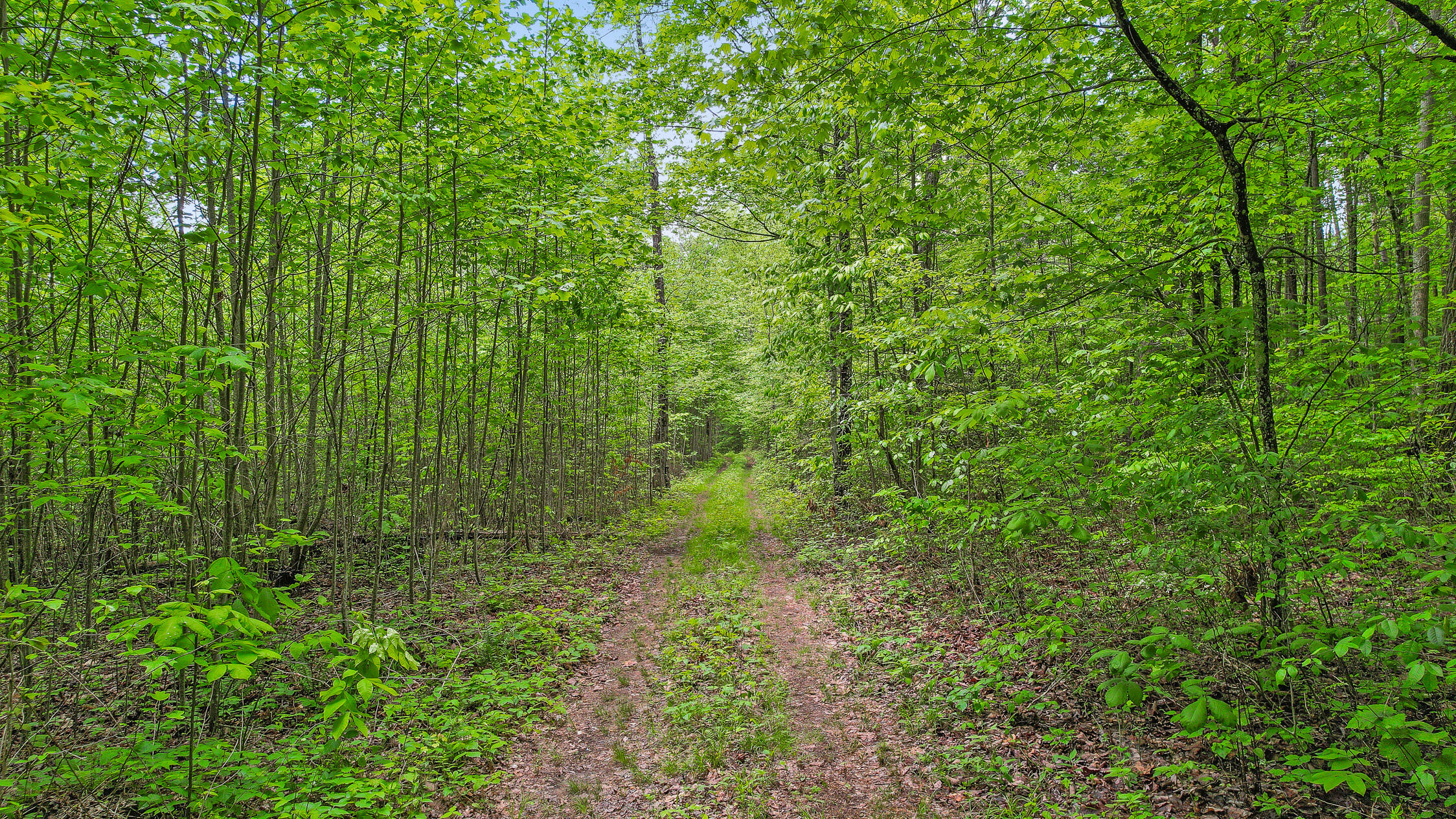 10 Acres Blaine Smith Road