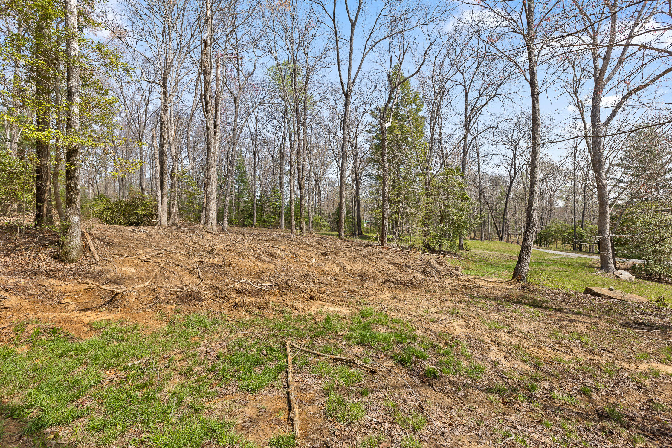 10 Acres Blaine Smith Road