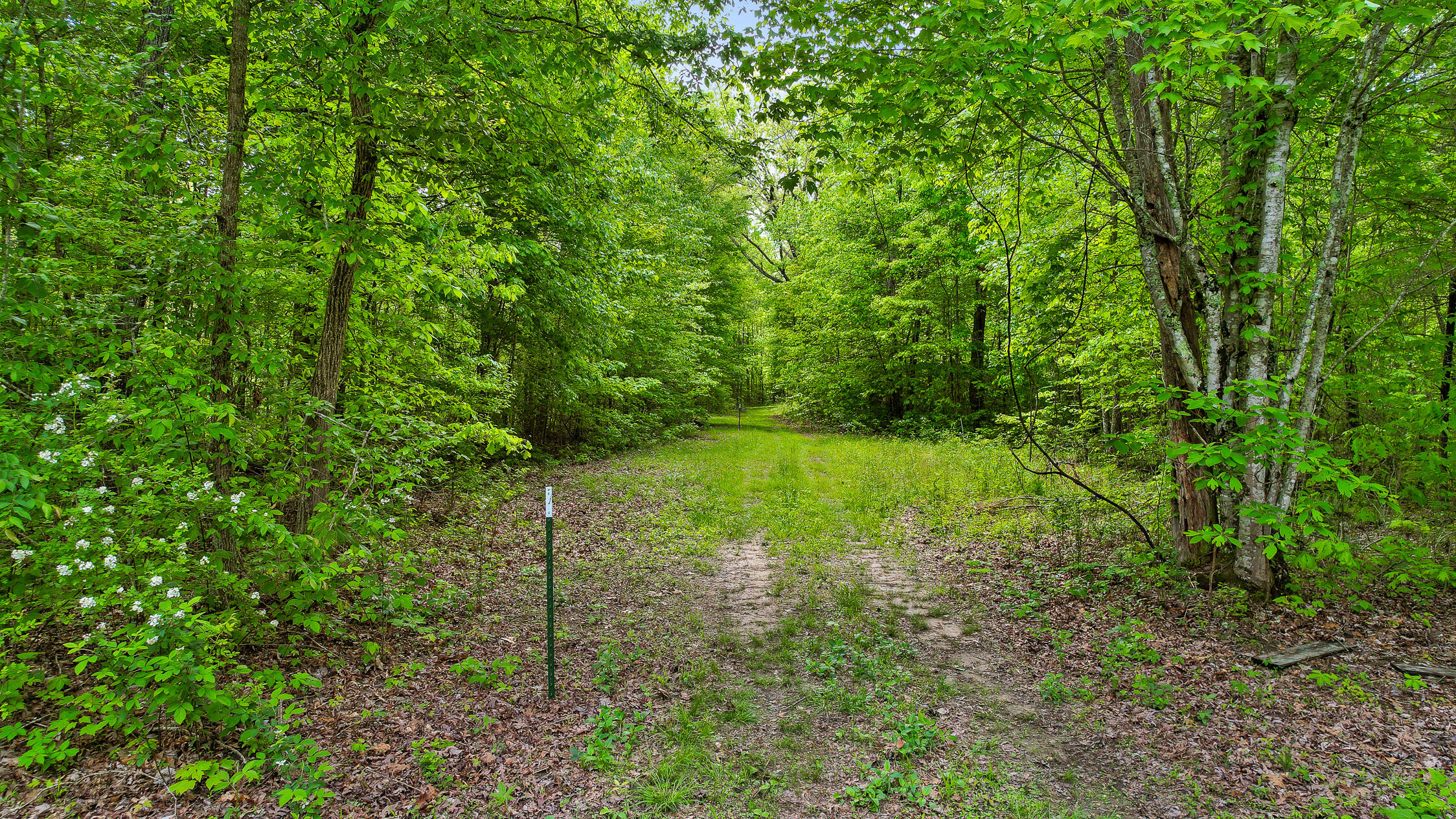 10 Acres Blaine Smith Road