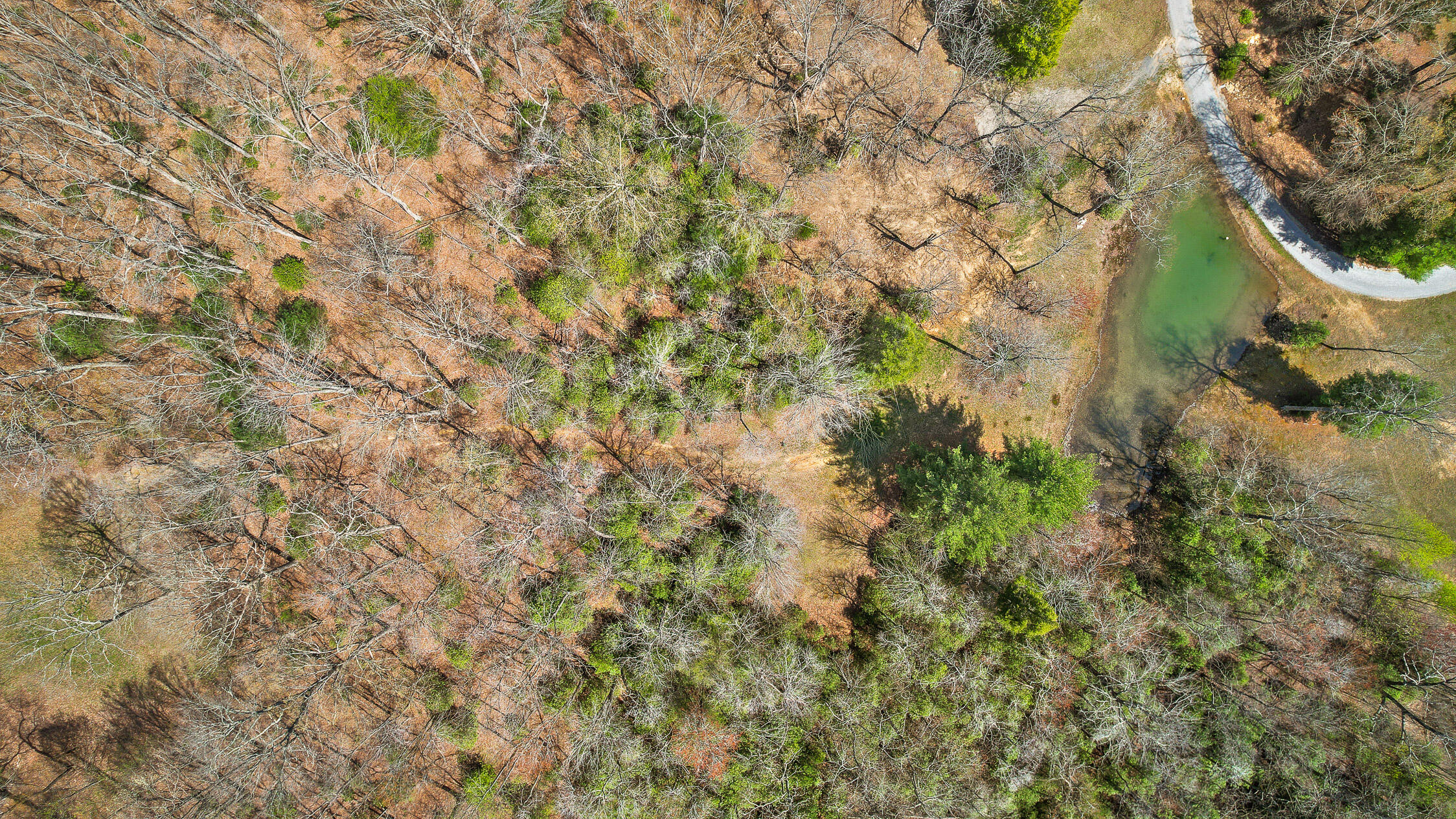 10 Acres Blaine Smith Road