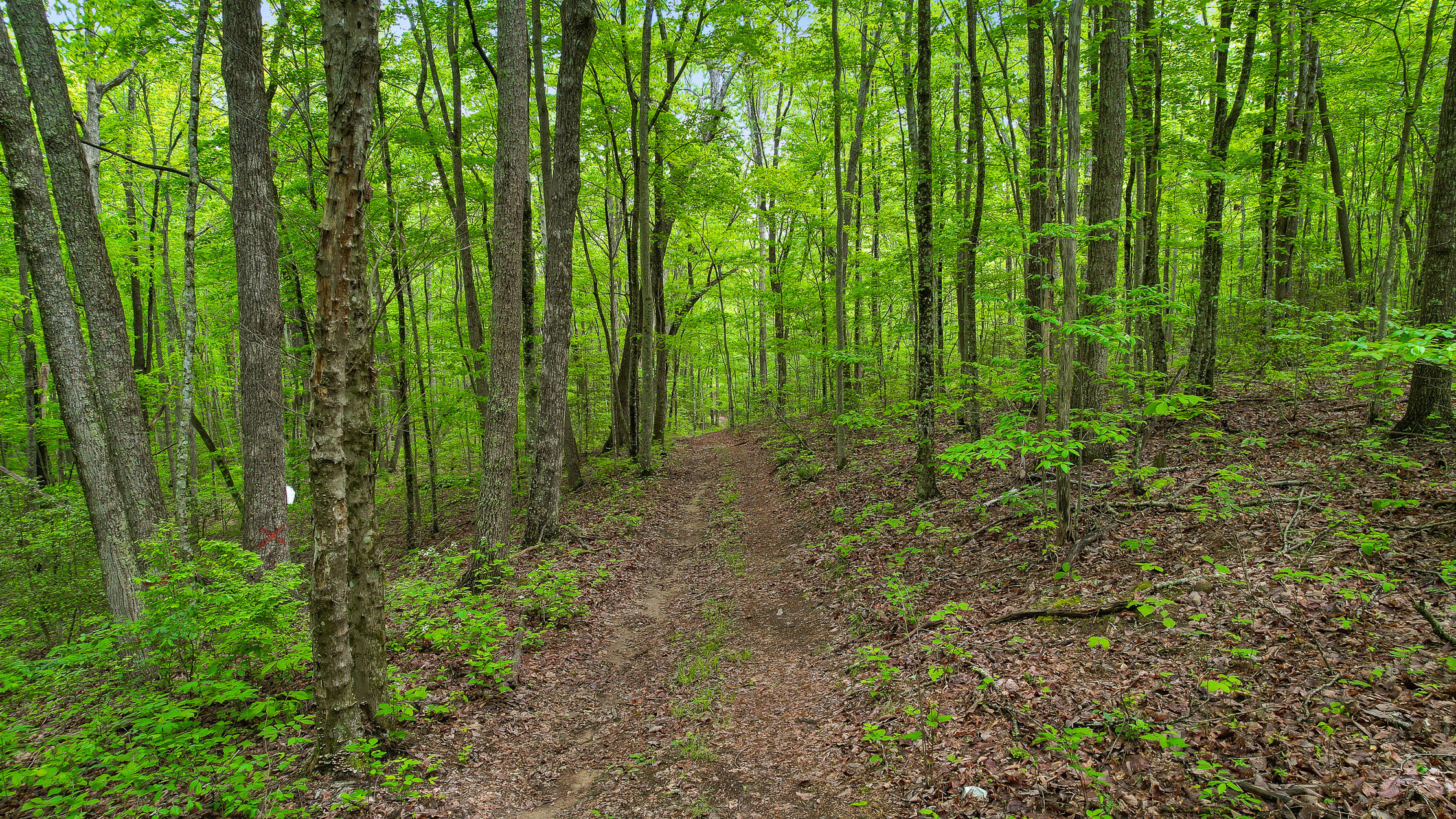 10 Acres Blaine Smith Road