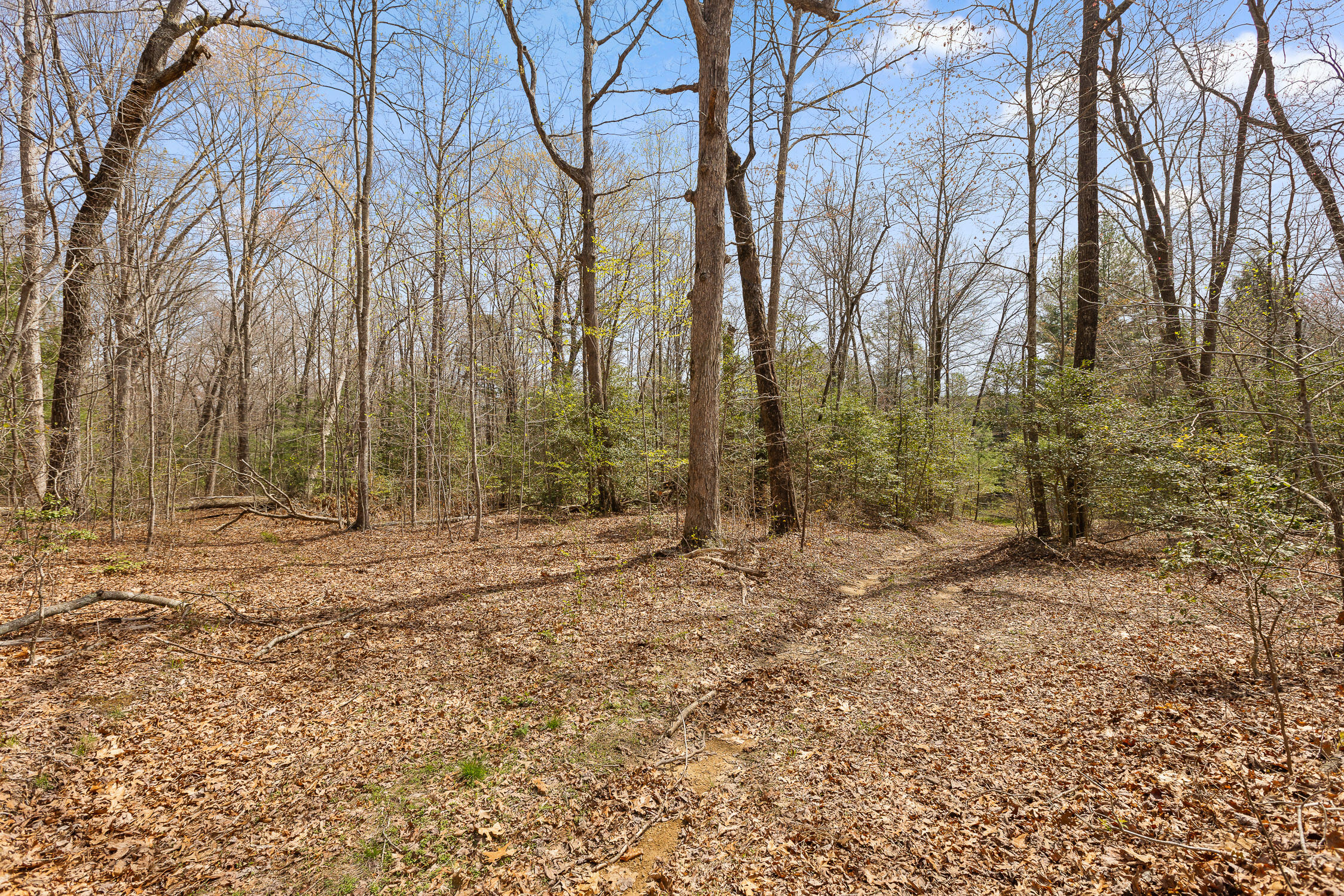 10 Acres Blaine Smith Road
