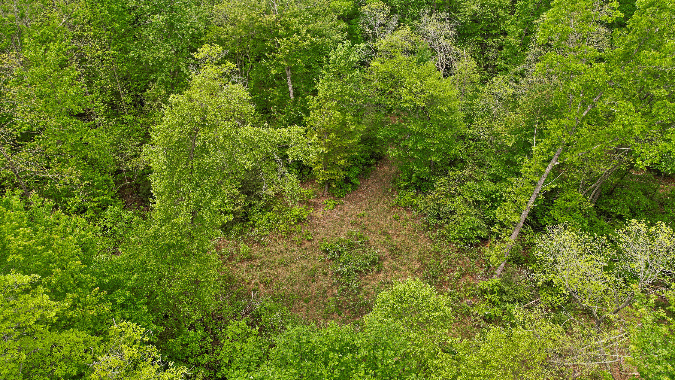 10 Acres Blaine Smith Road