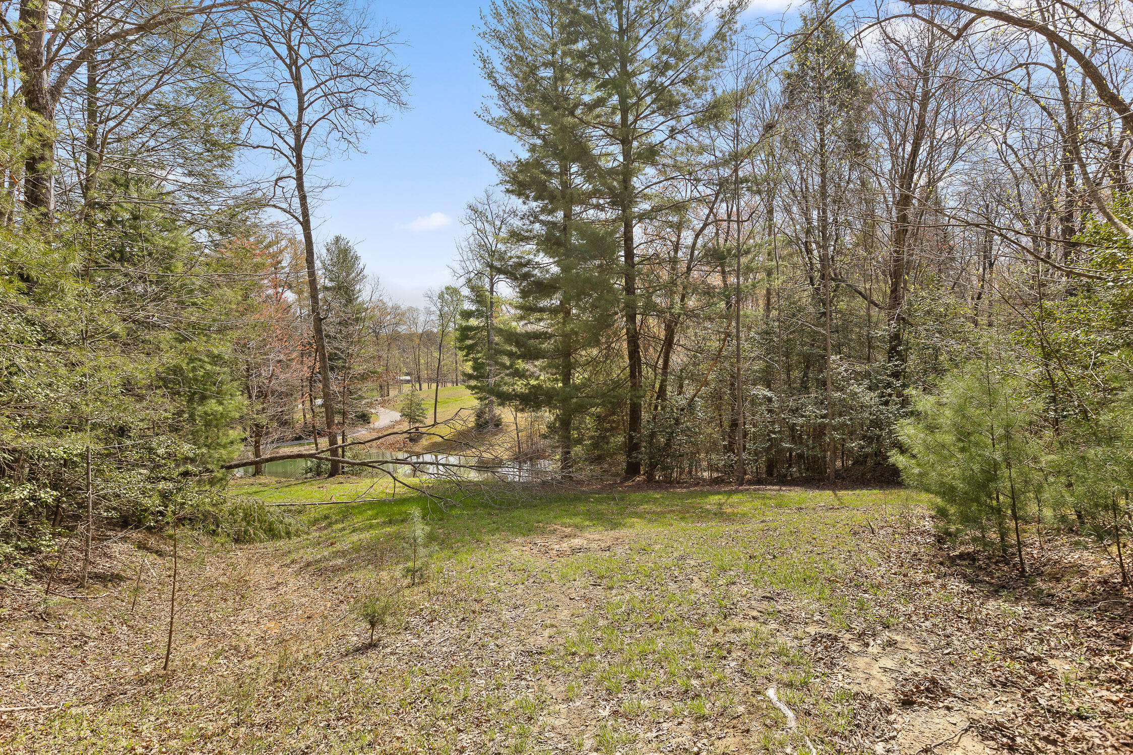 10 Acres Blaine Smith Road
