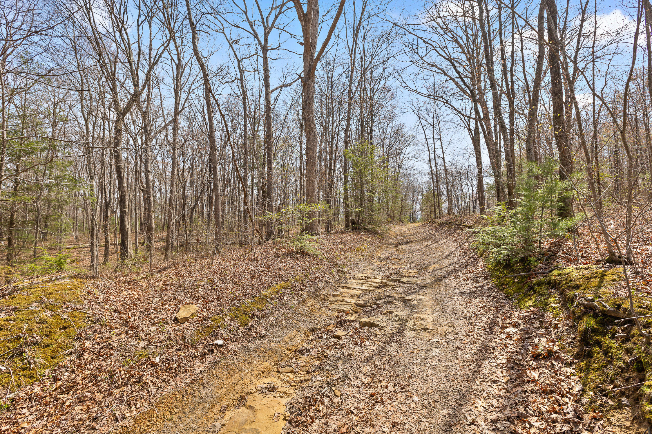 10 Acres Blaine Smith Road