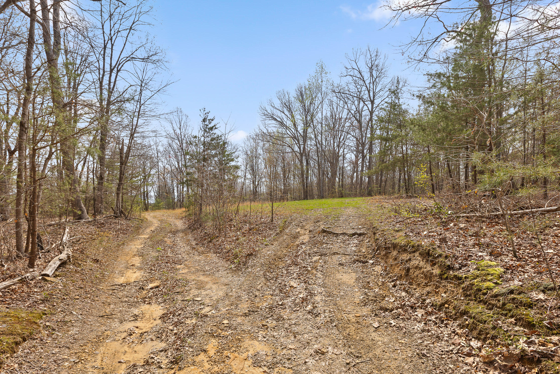 10 Acres Blaine Smith Road