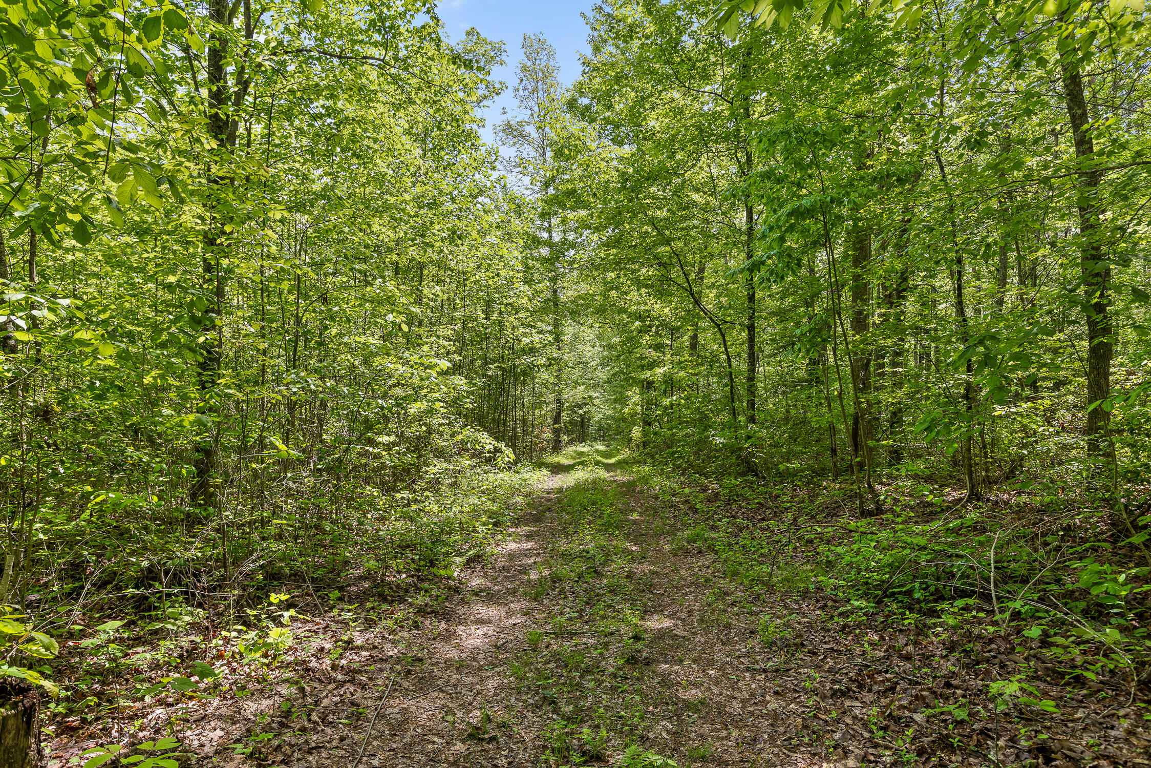 10 Acres Blaine Smith Road