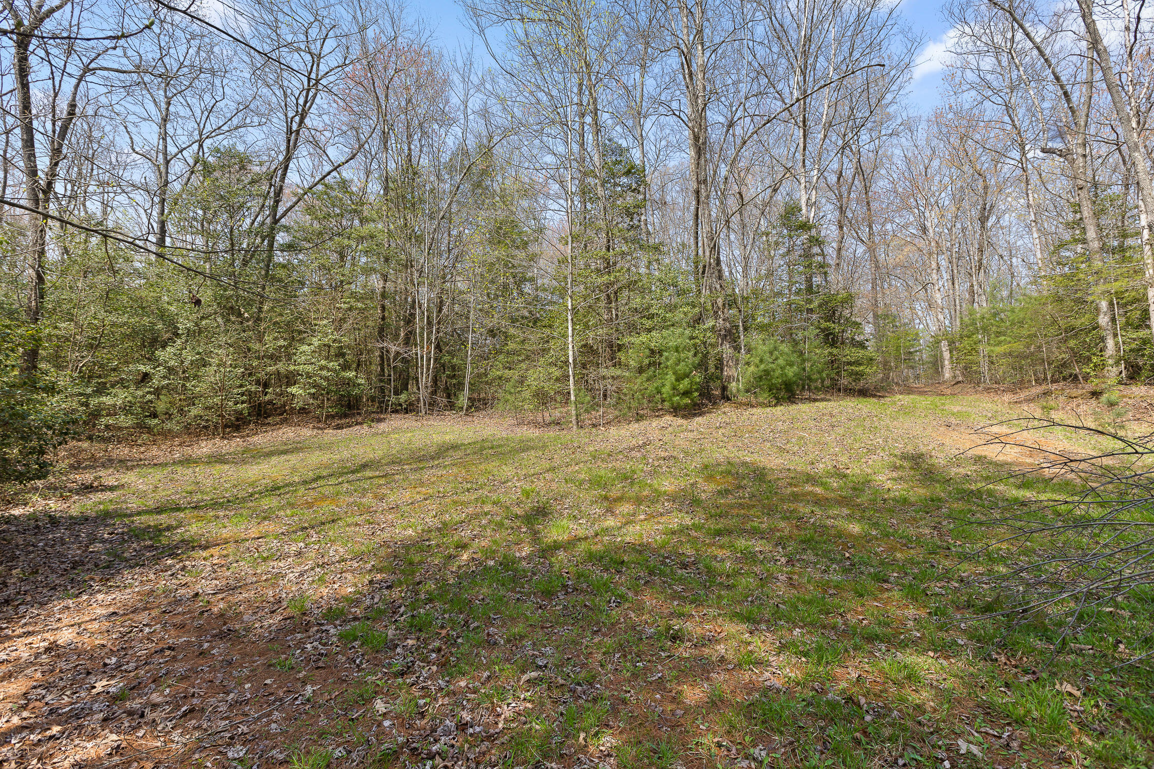 10 Acres Blaine Smith Road