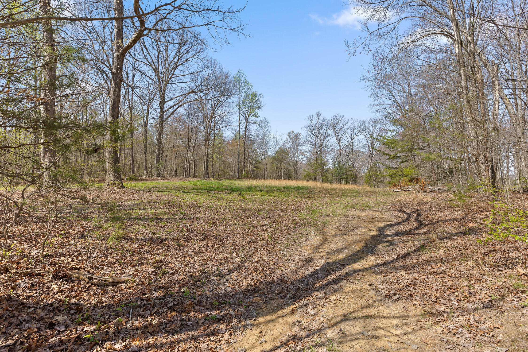 10 Acres Blaine Smith Road