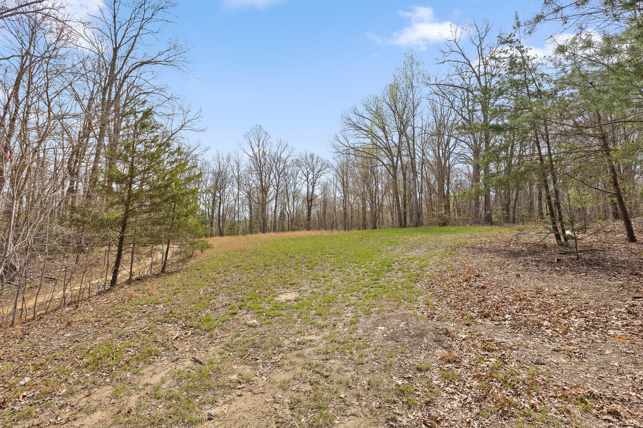 10 Acres Blaine Smith Road