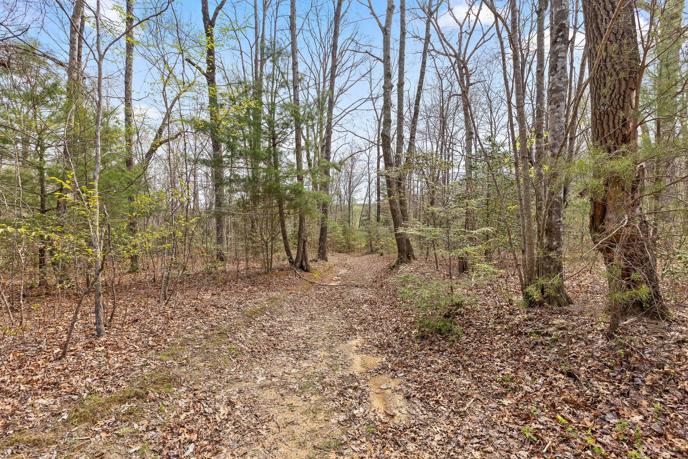 10 Acres Blaine Smith Road
