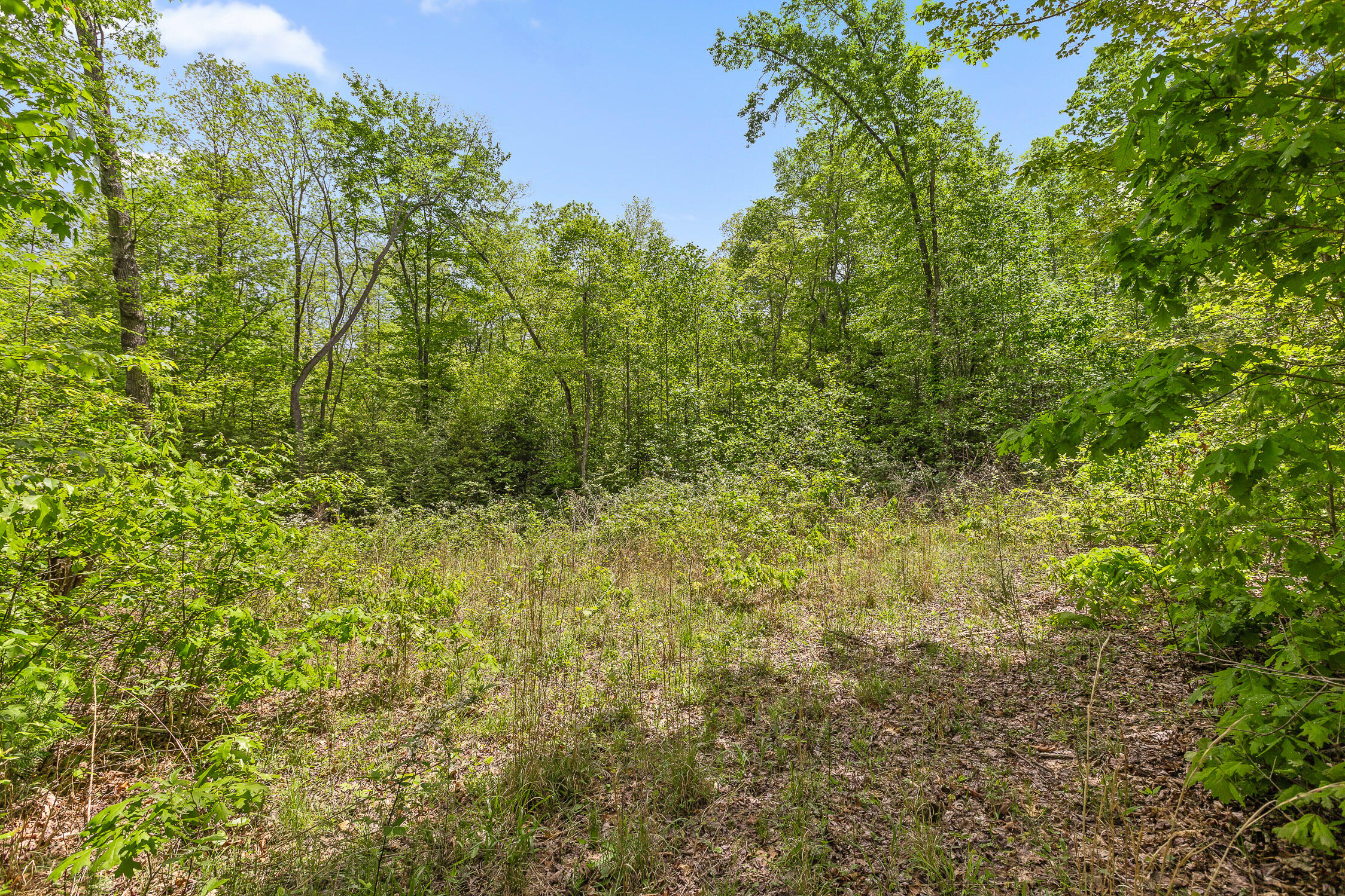 10 Acres Blaine Smith Road