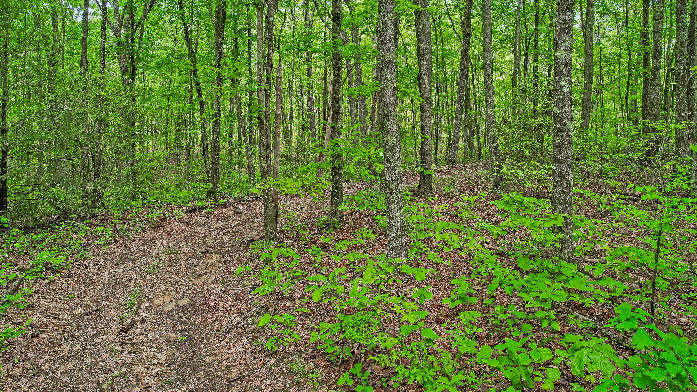 10 Acres Blaine Smith Road