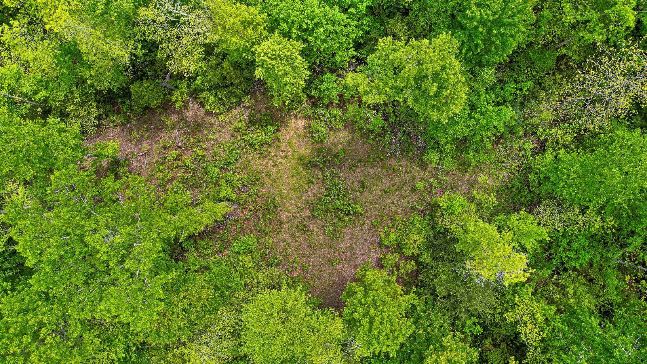 10 Acres Blaine Smith Road