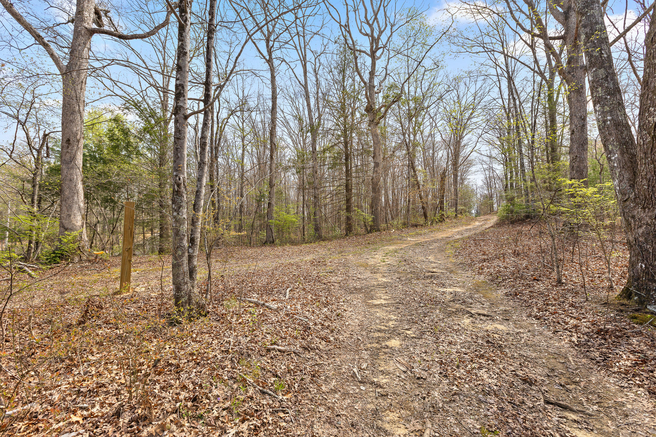 10 Acres Blaine Smith Road