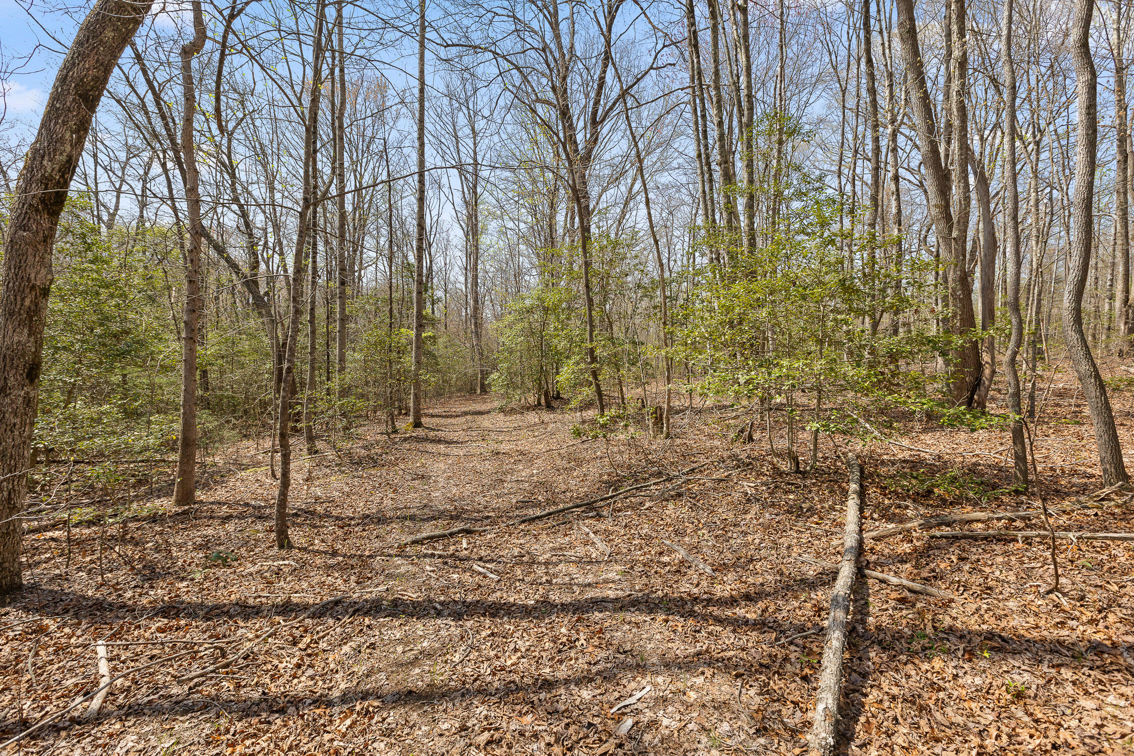 10 Acres Blaine Smith Road