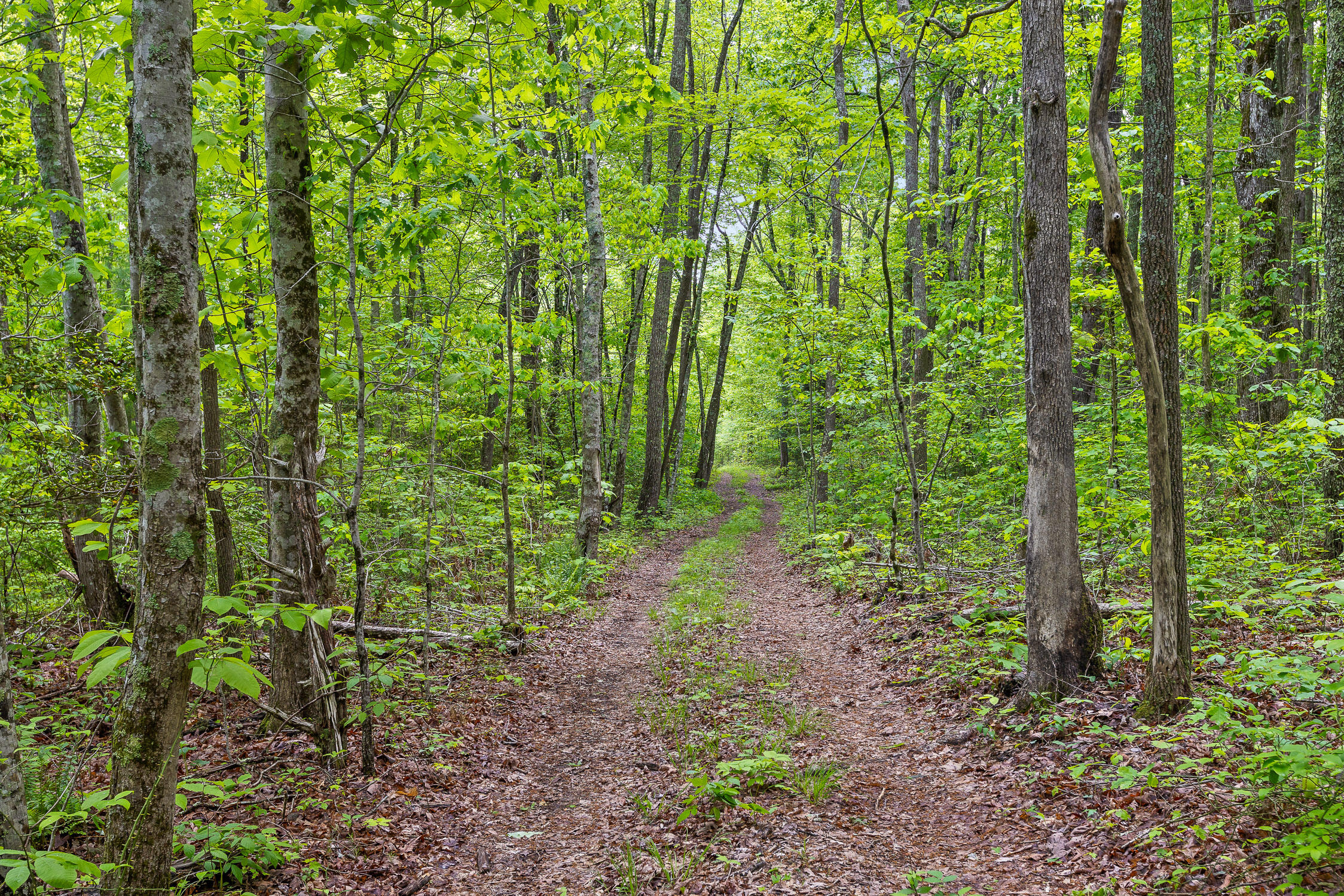 10 Acres Blaine Smith Road