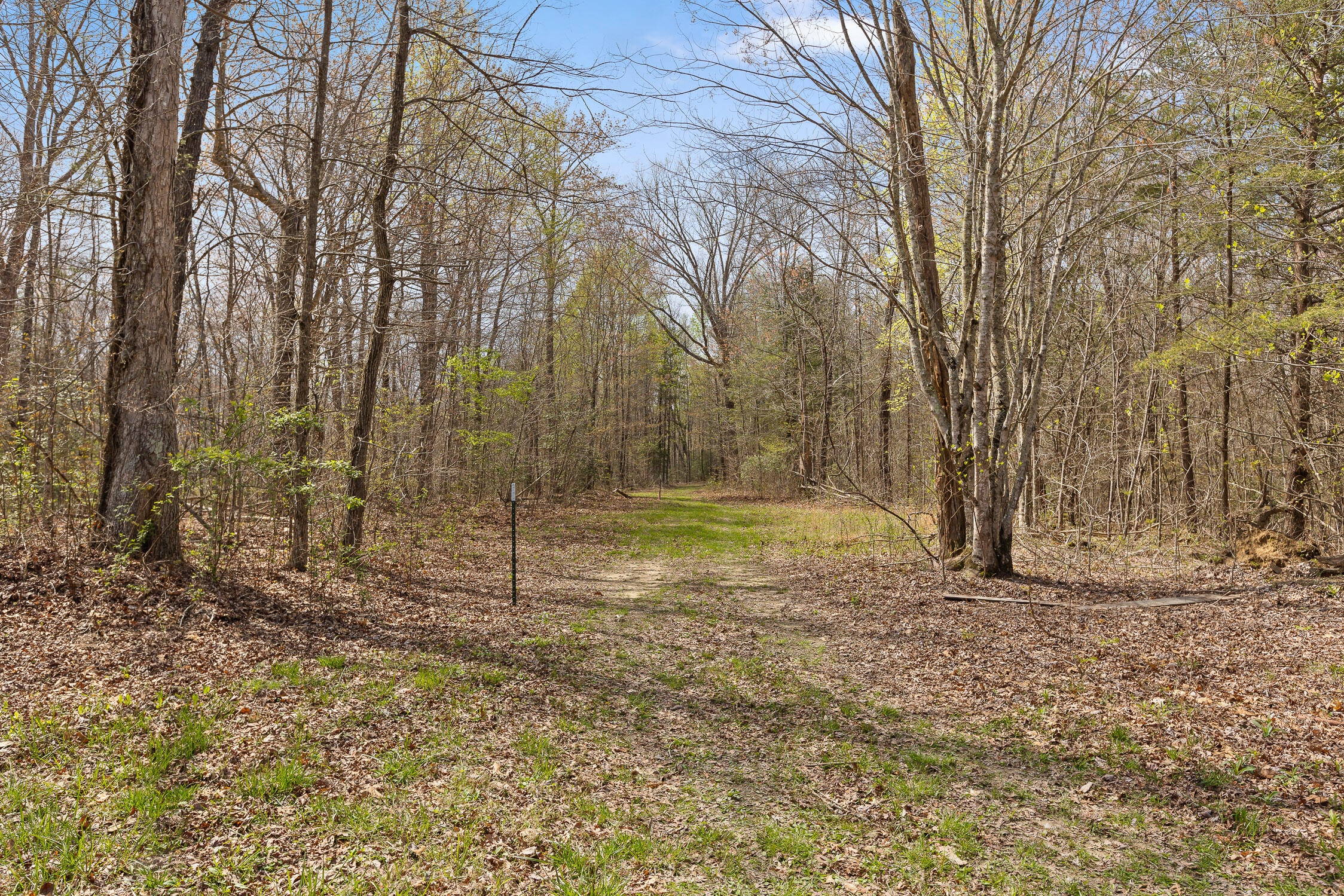 10 Acres Blaine Smith Road