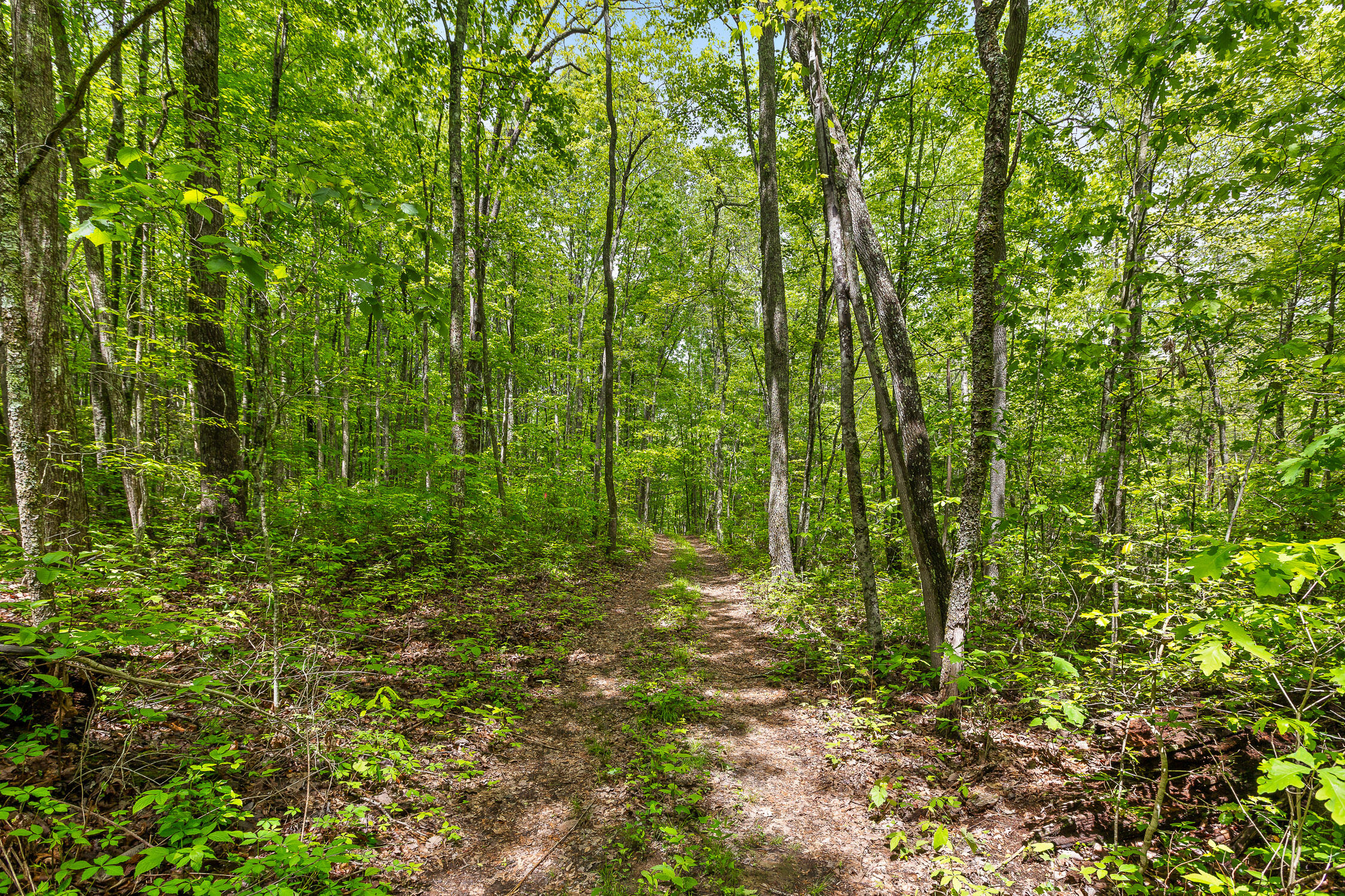 10 Acres Blaine Smith Road