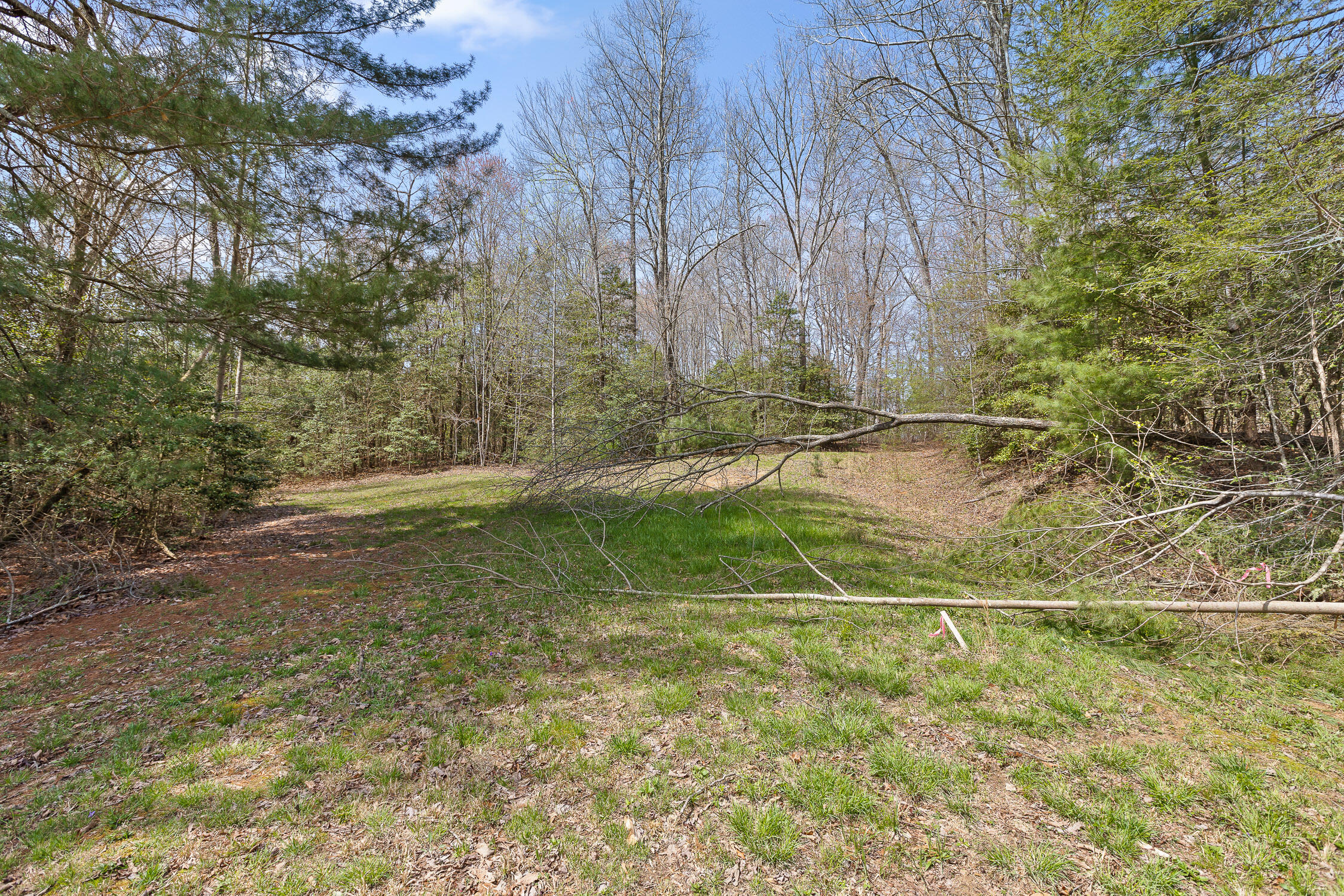 10 Acres Blaine Smith Road