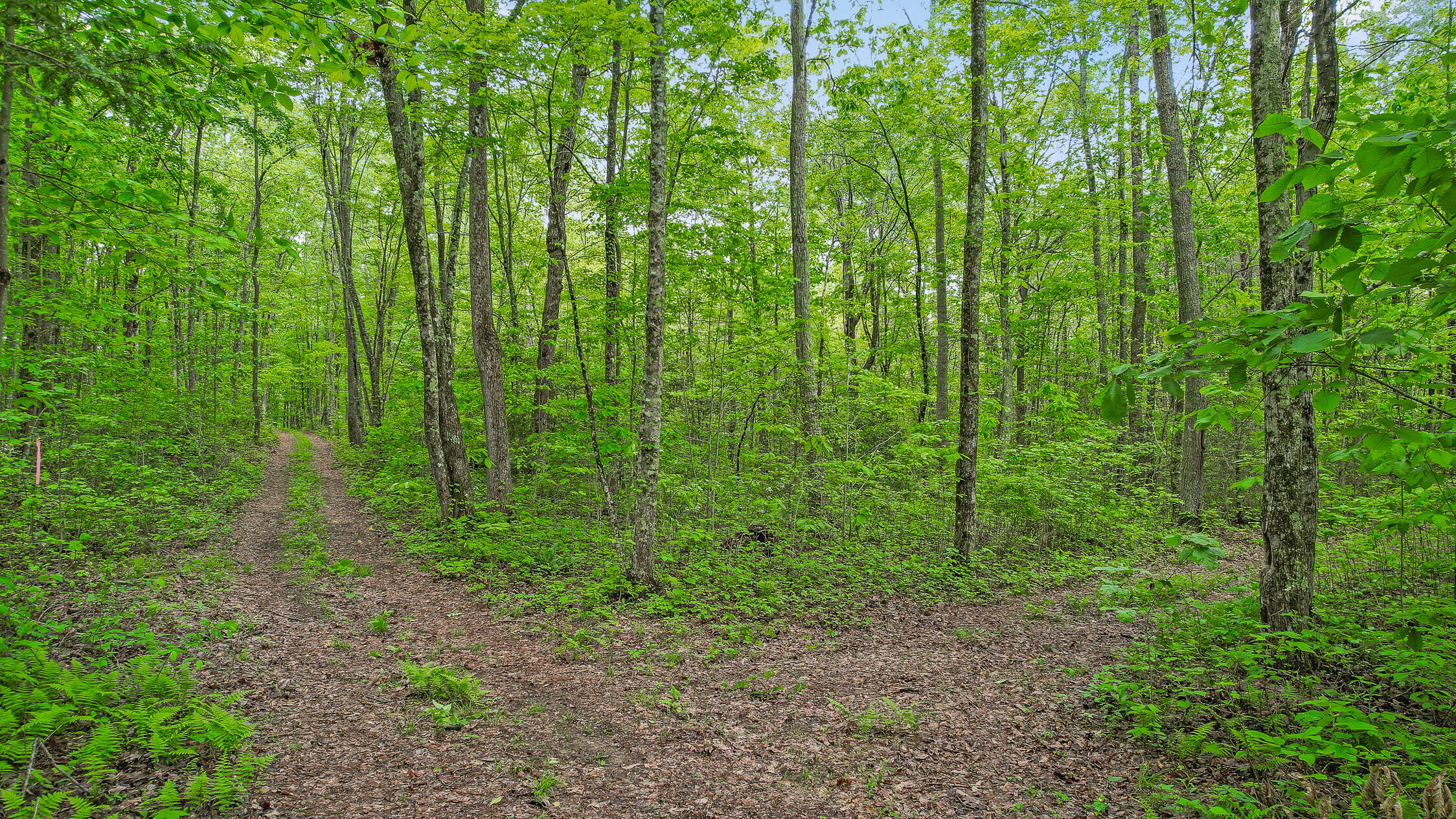 10 Acres Blaine Smith Road