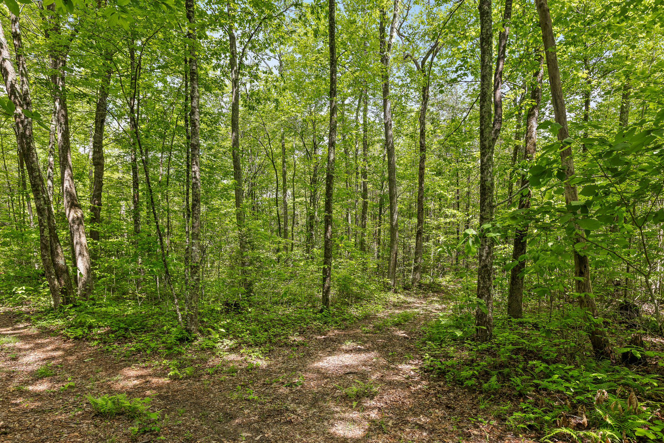 10 Acres Blaine Smith Road