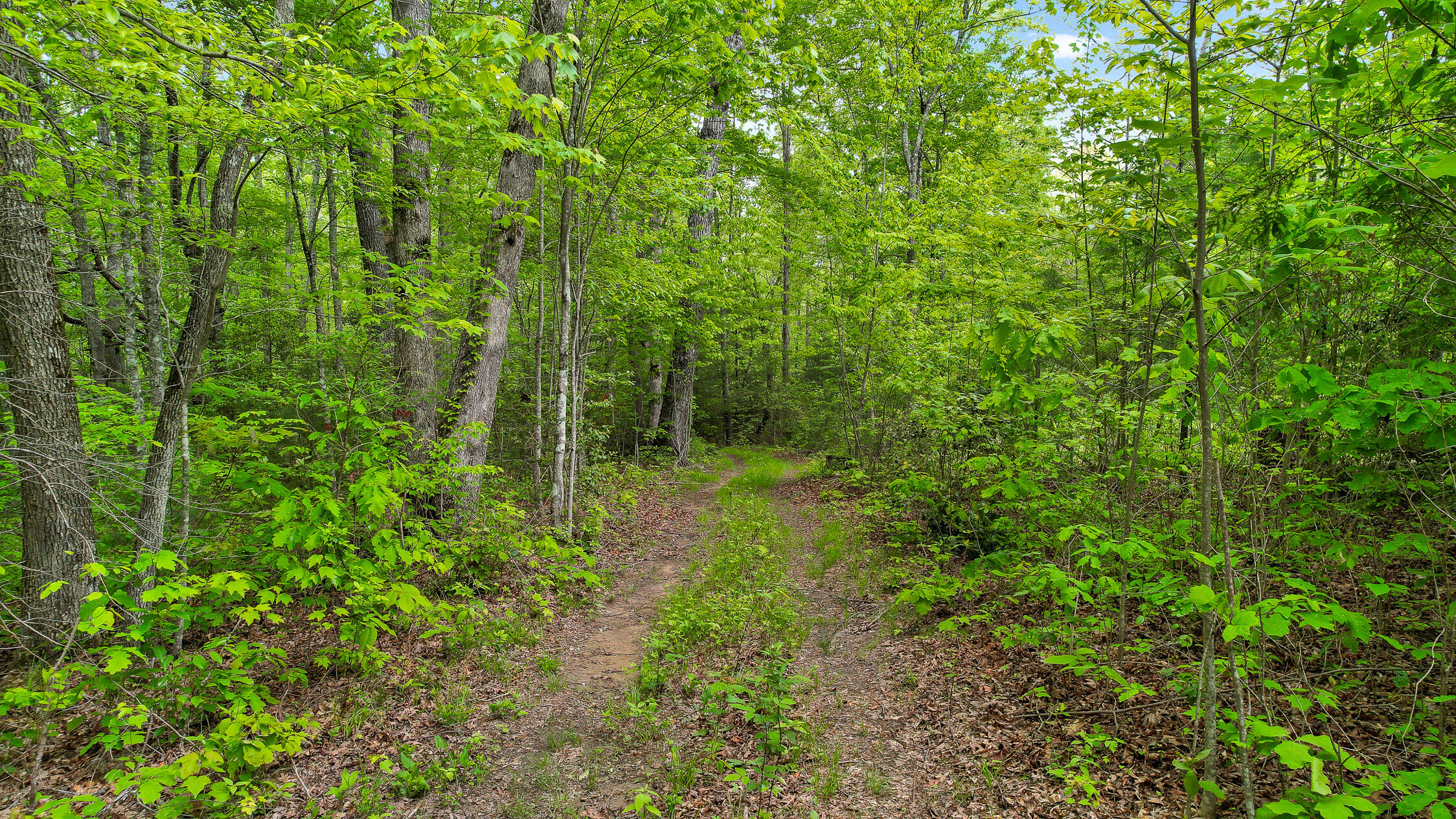 10 Acres Blaine Smith Road