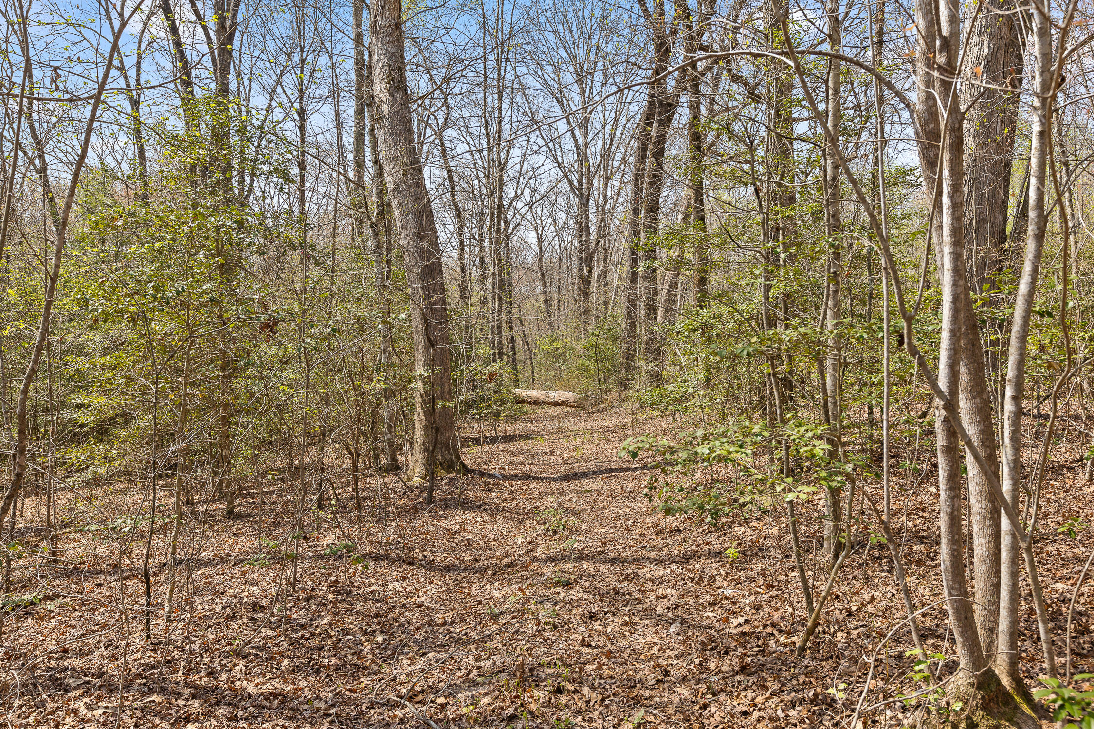 10 Acres Blaine Smith Road