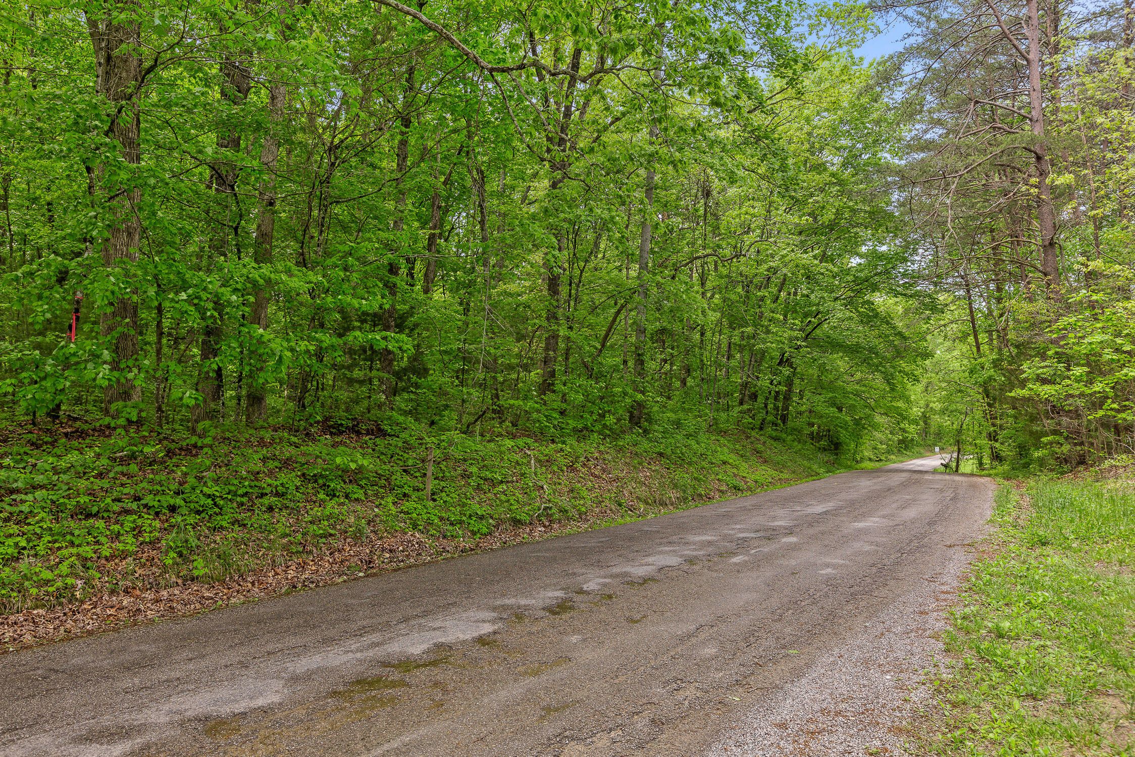 17.65 Acres Blaine Smith Road