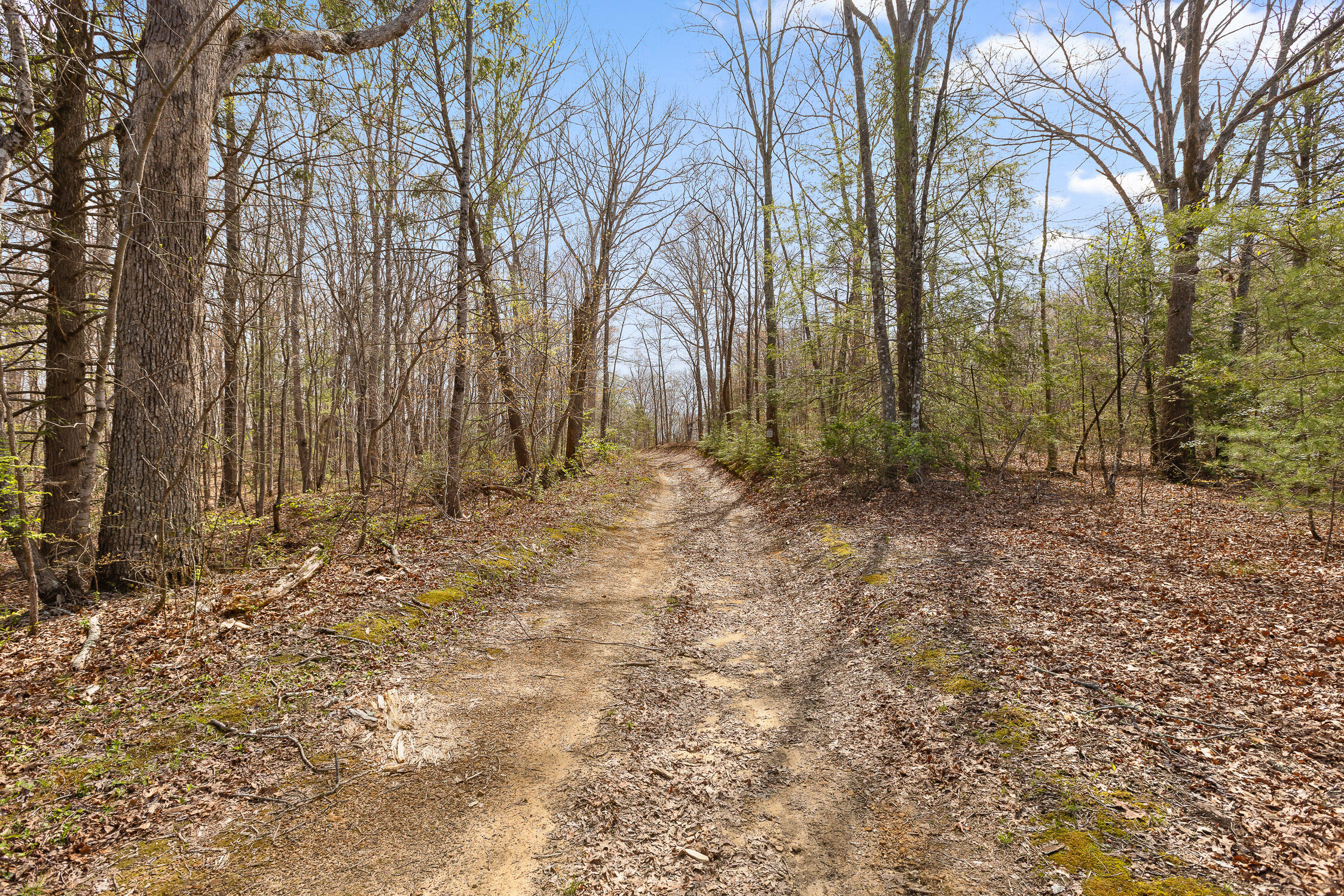 17.65 Acres Blaine Smith Road