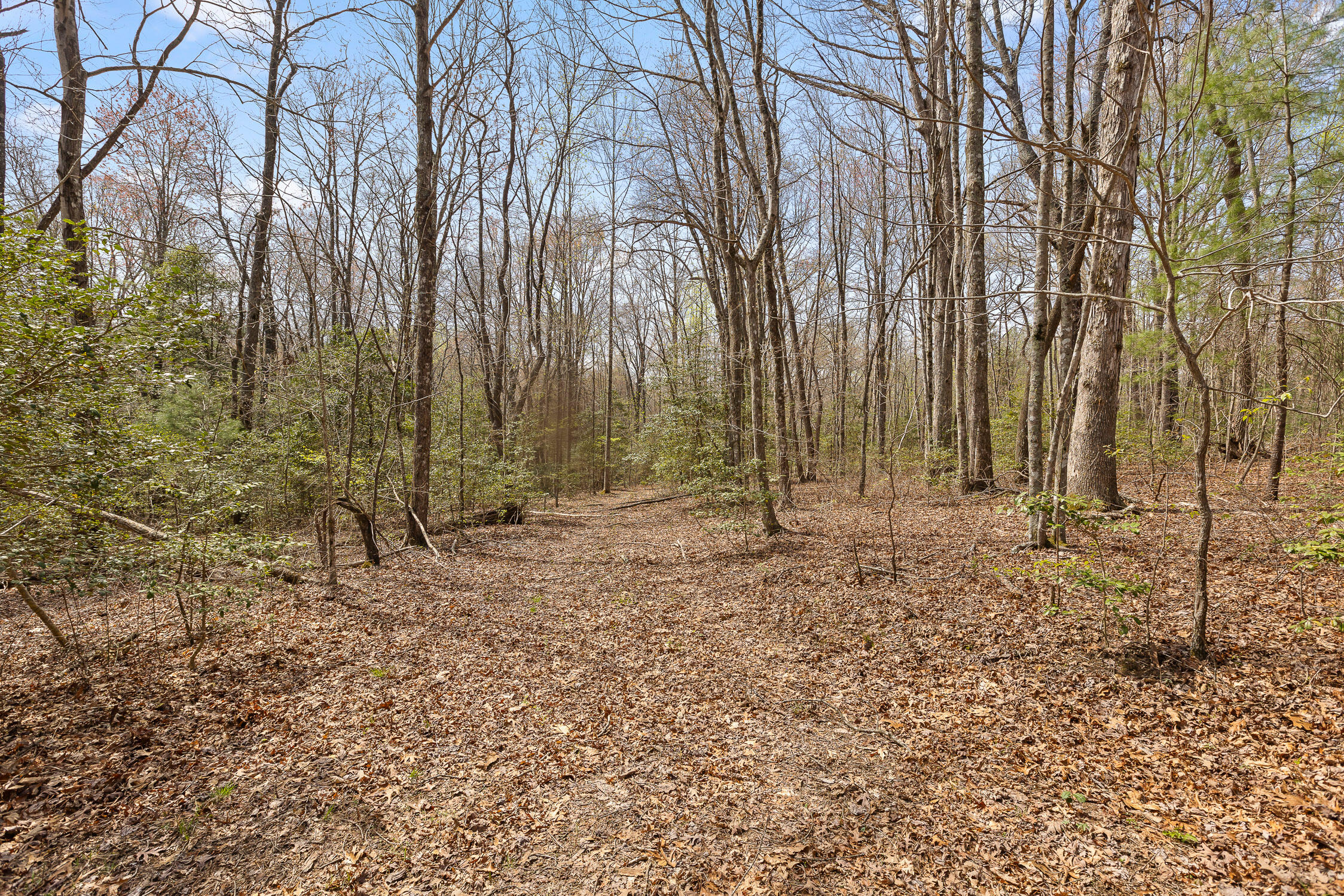17.65 Acres Blaine Smith Road