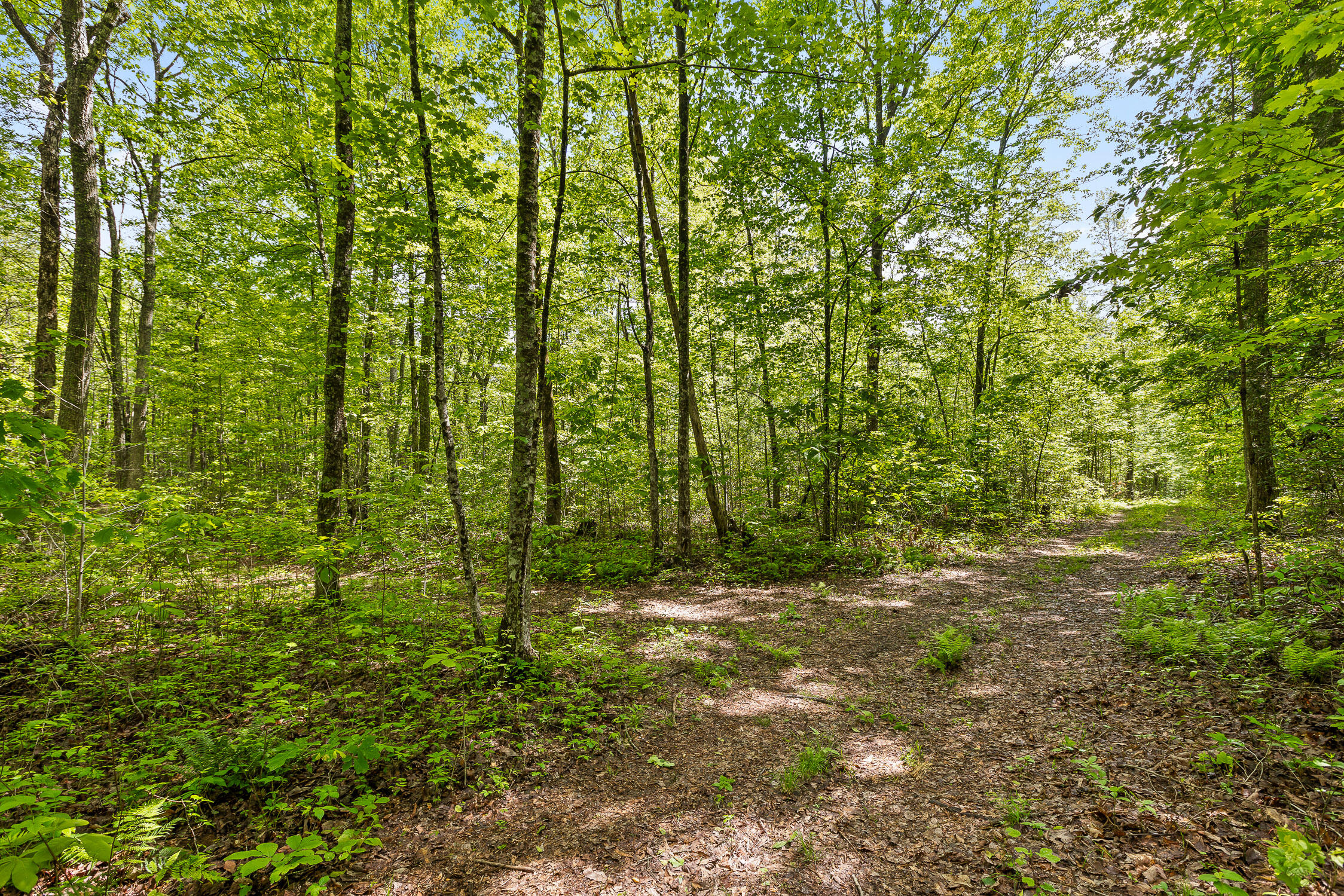 17.65 Acres Blaine Smith Road