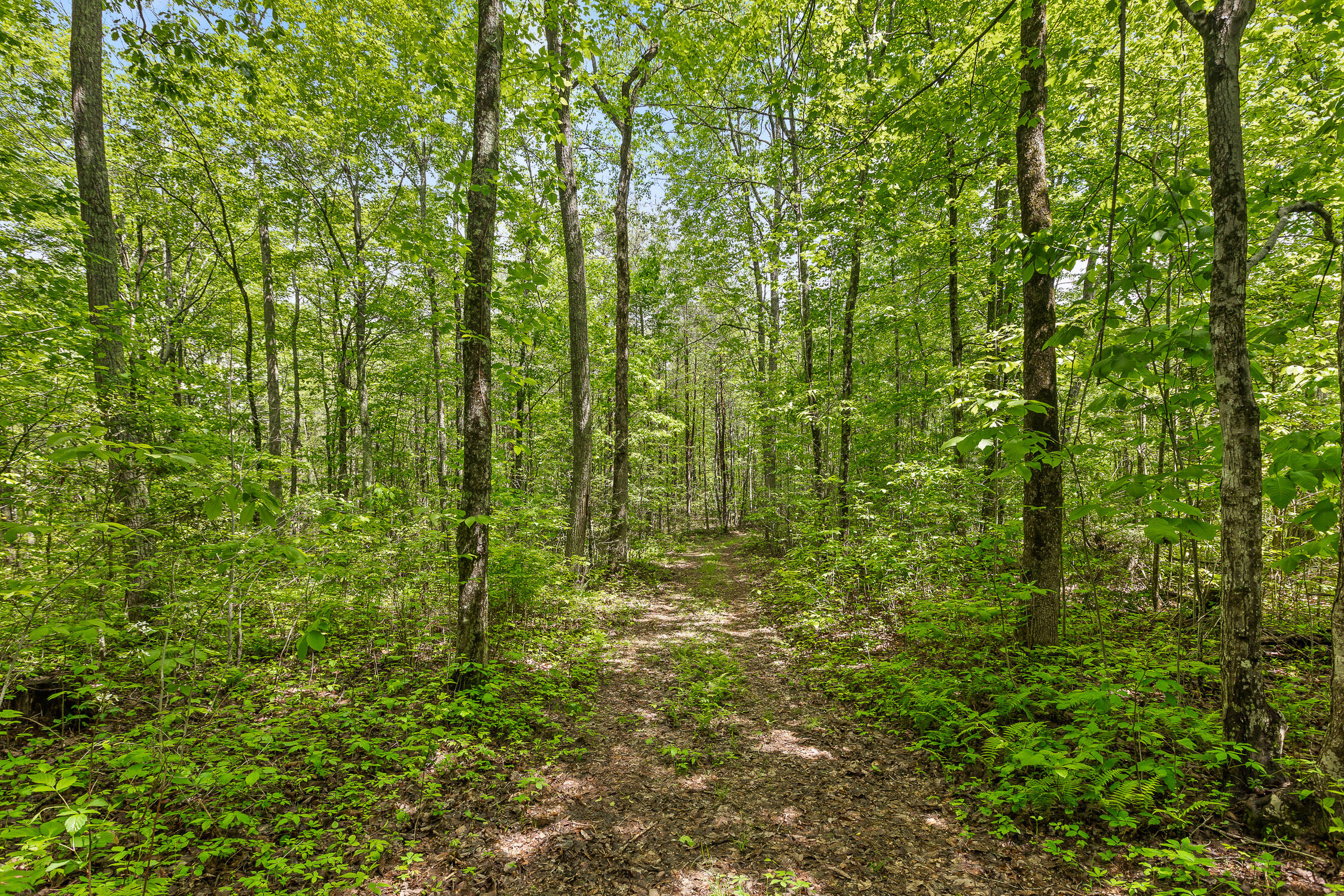 17.65 Acres Blaine Smith Road