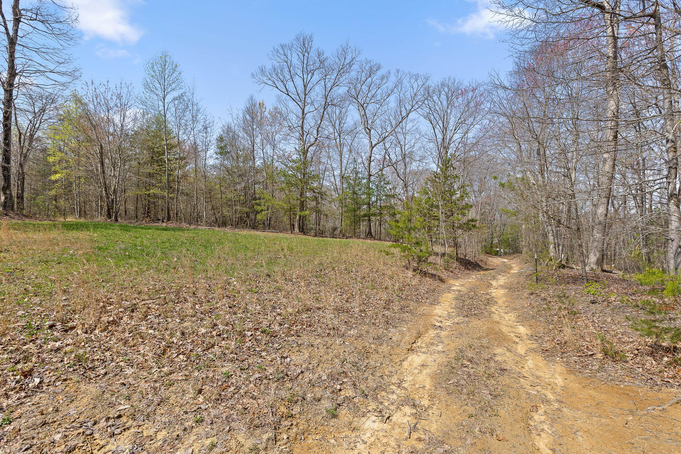 17.65 Acres Blaine Smith Road