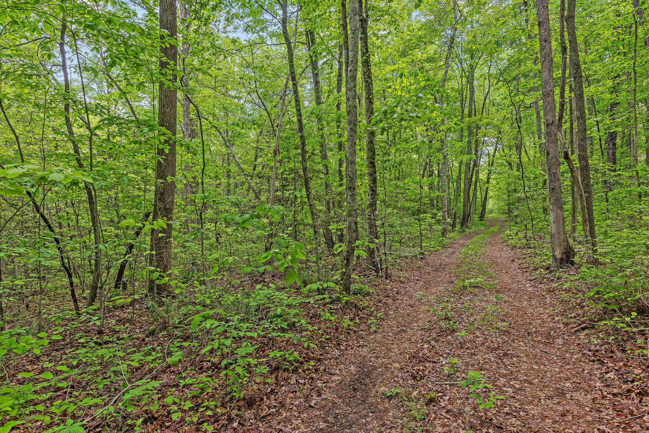 17.65 Acres Blaine Smith Road