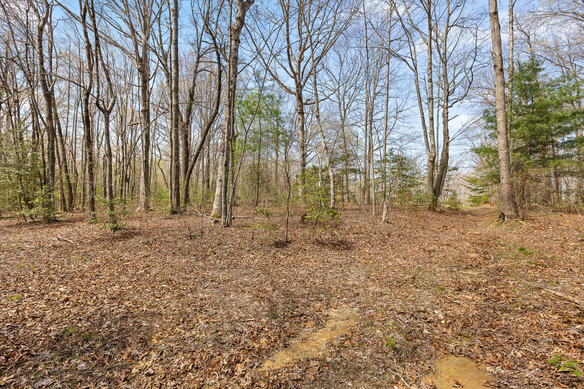 17.65 Acres Blaine Smith Road