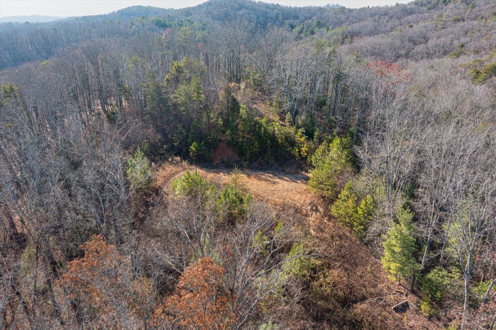 200 Reavley Road