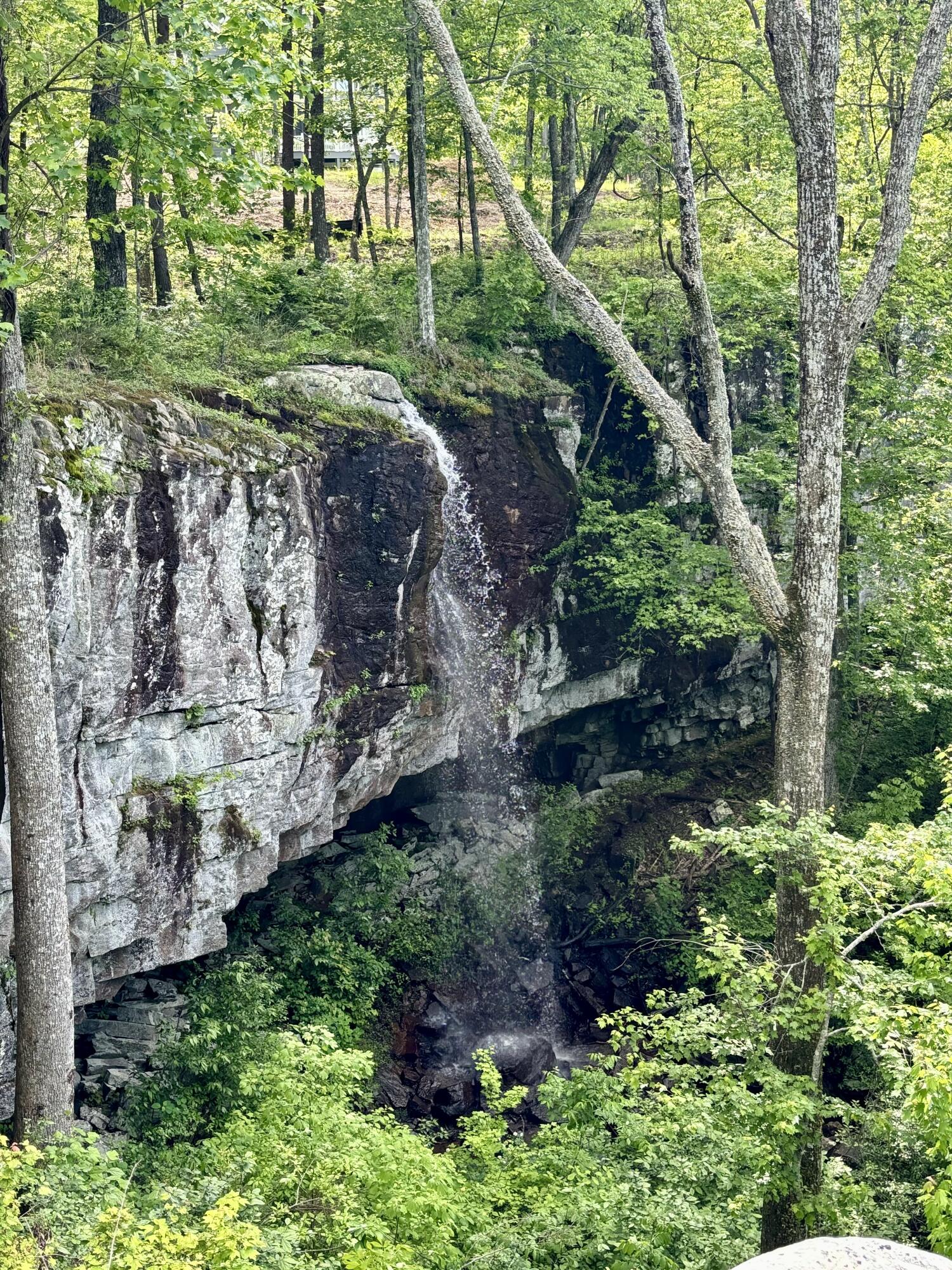 0 High Point Lane, 89