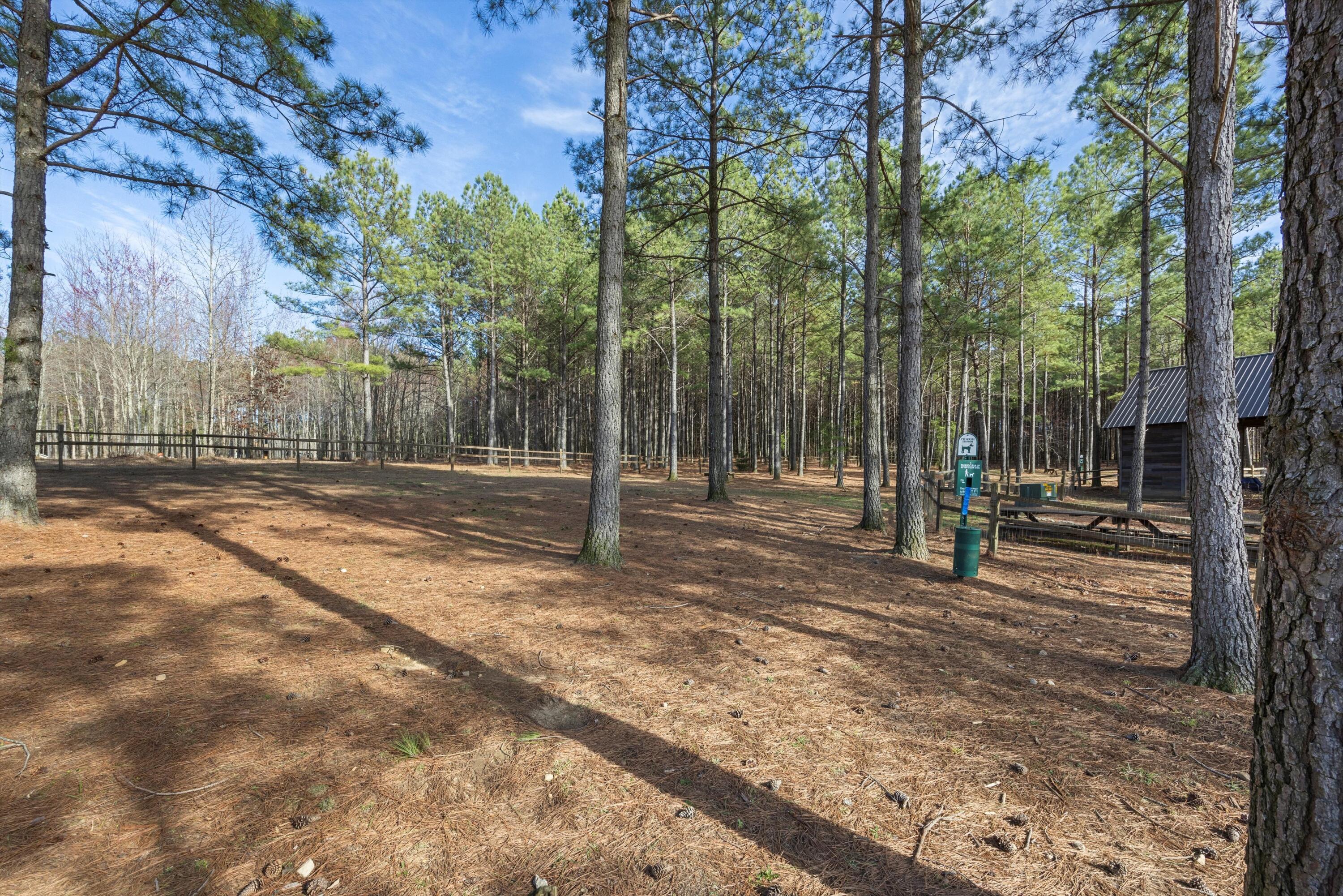 0 High Point Lane, 89