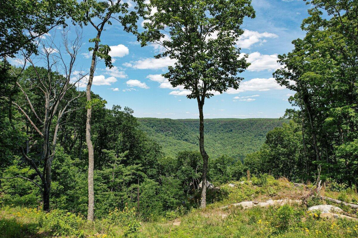 0 High Point Lane, 89